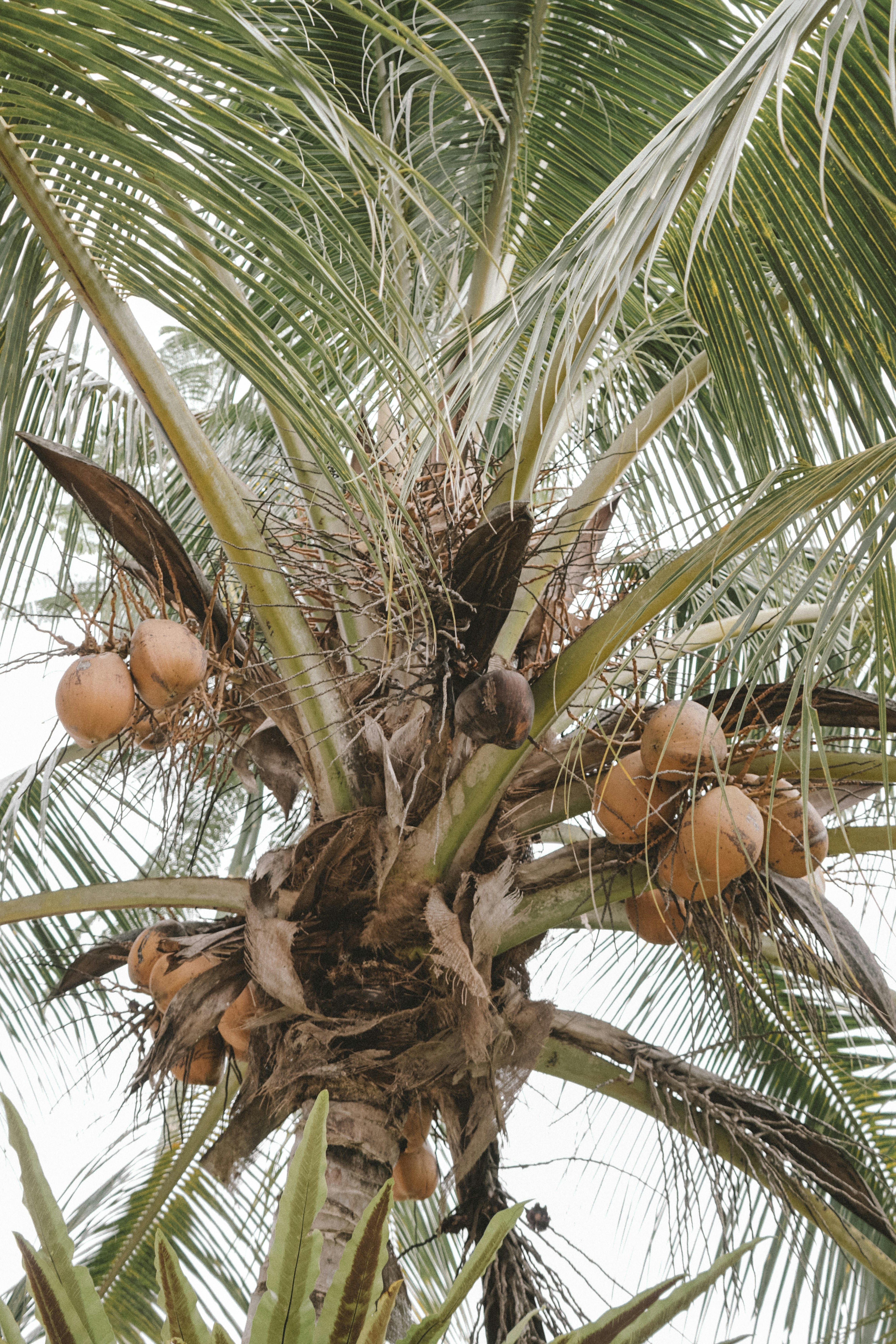 Photo by aseprendi12