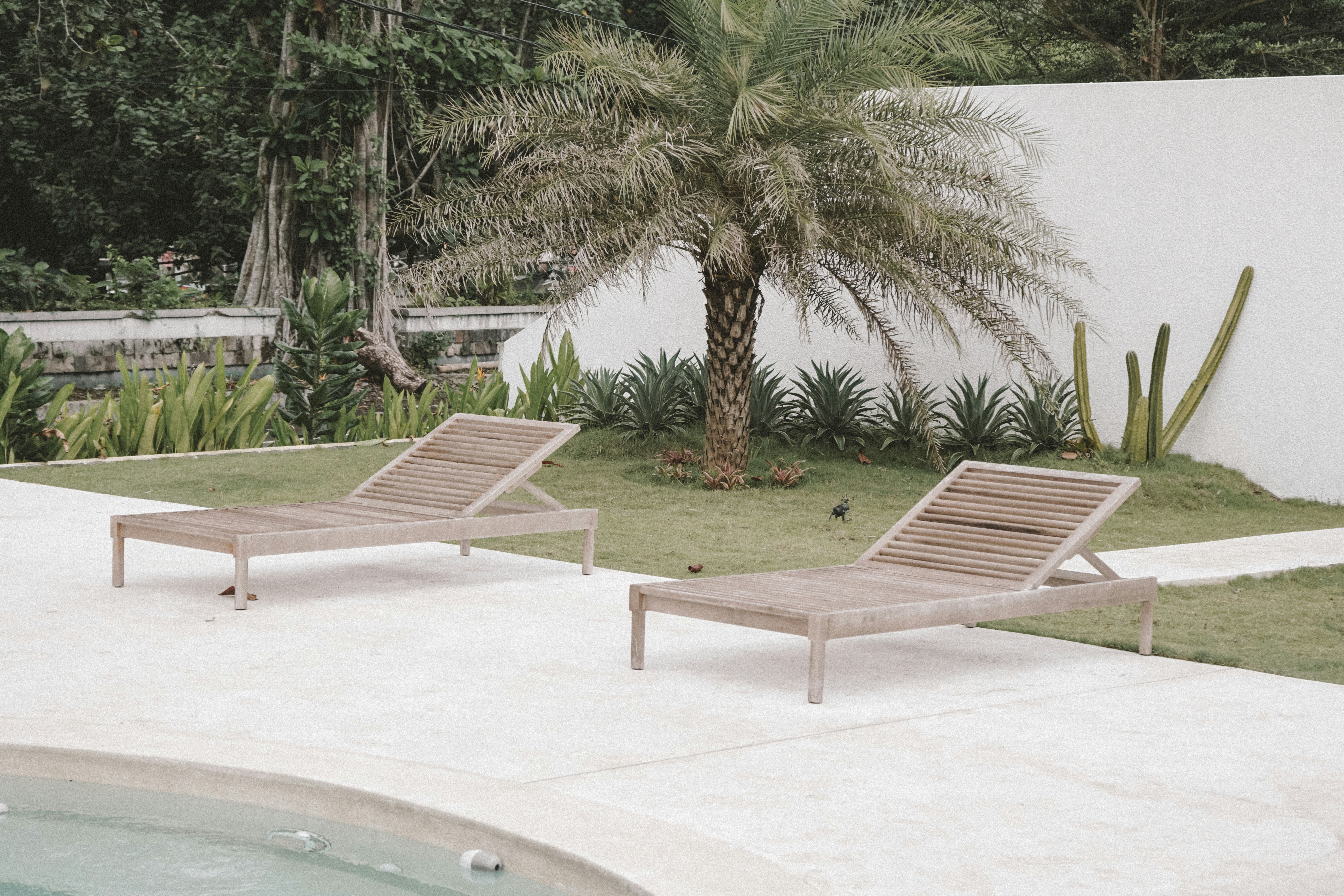 Photo by aseprendi12