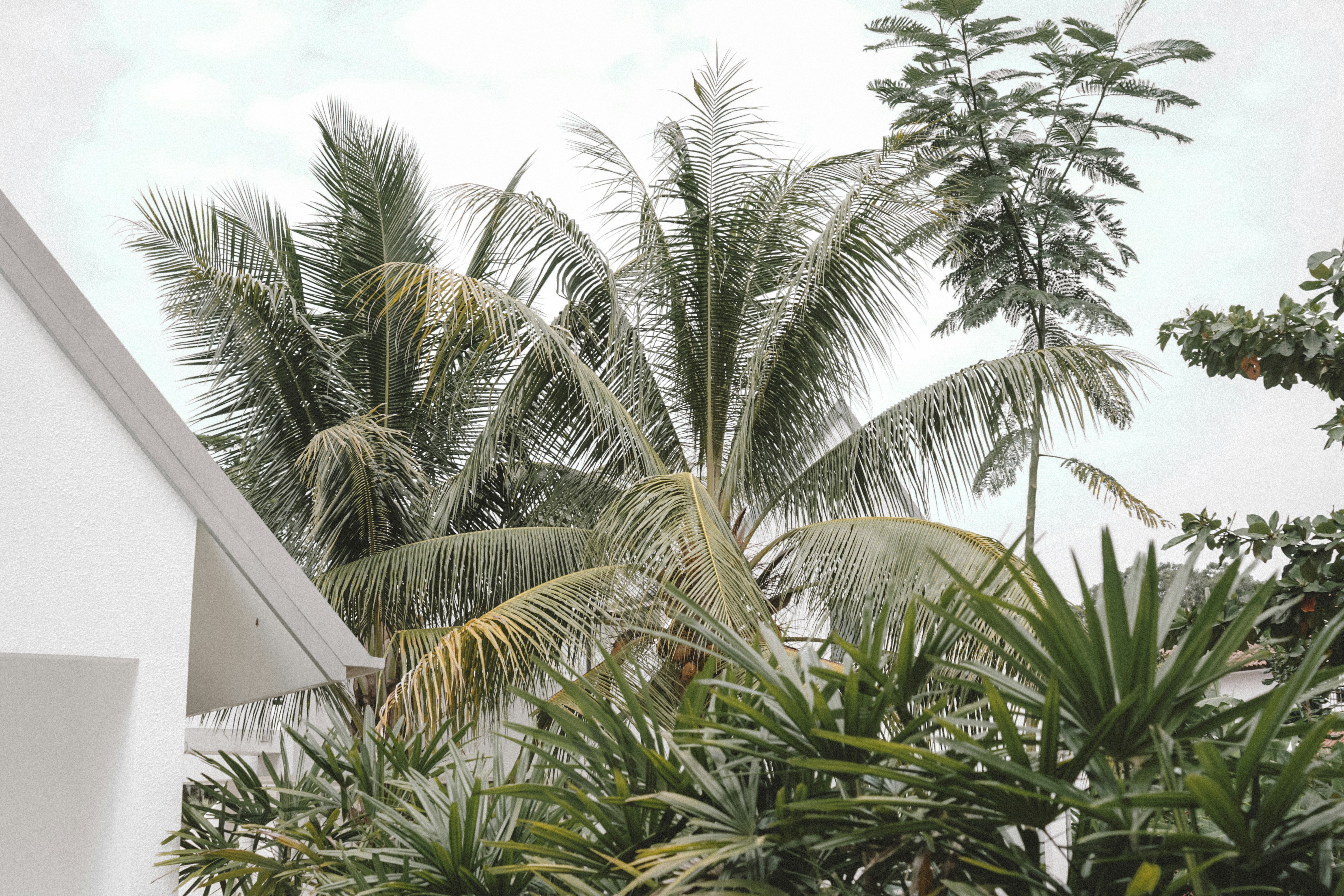 Photo by aseprendi12