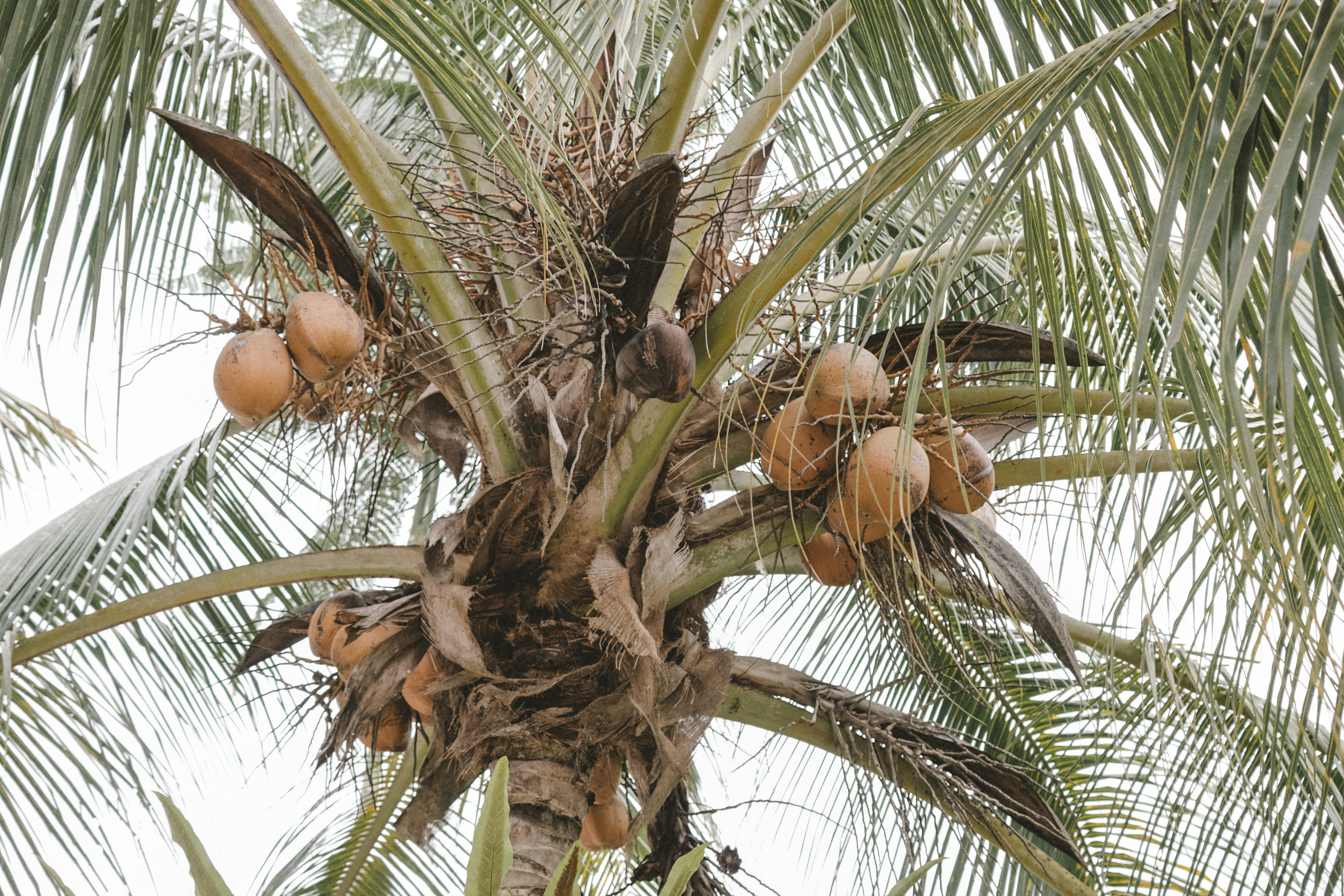 Photo by aseprendi12