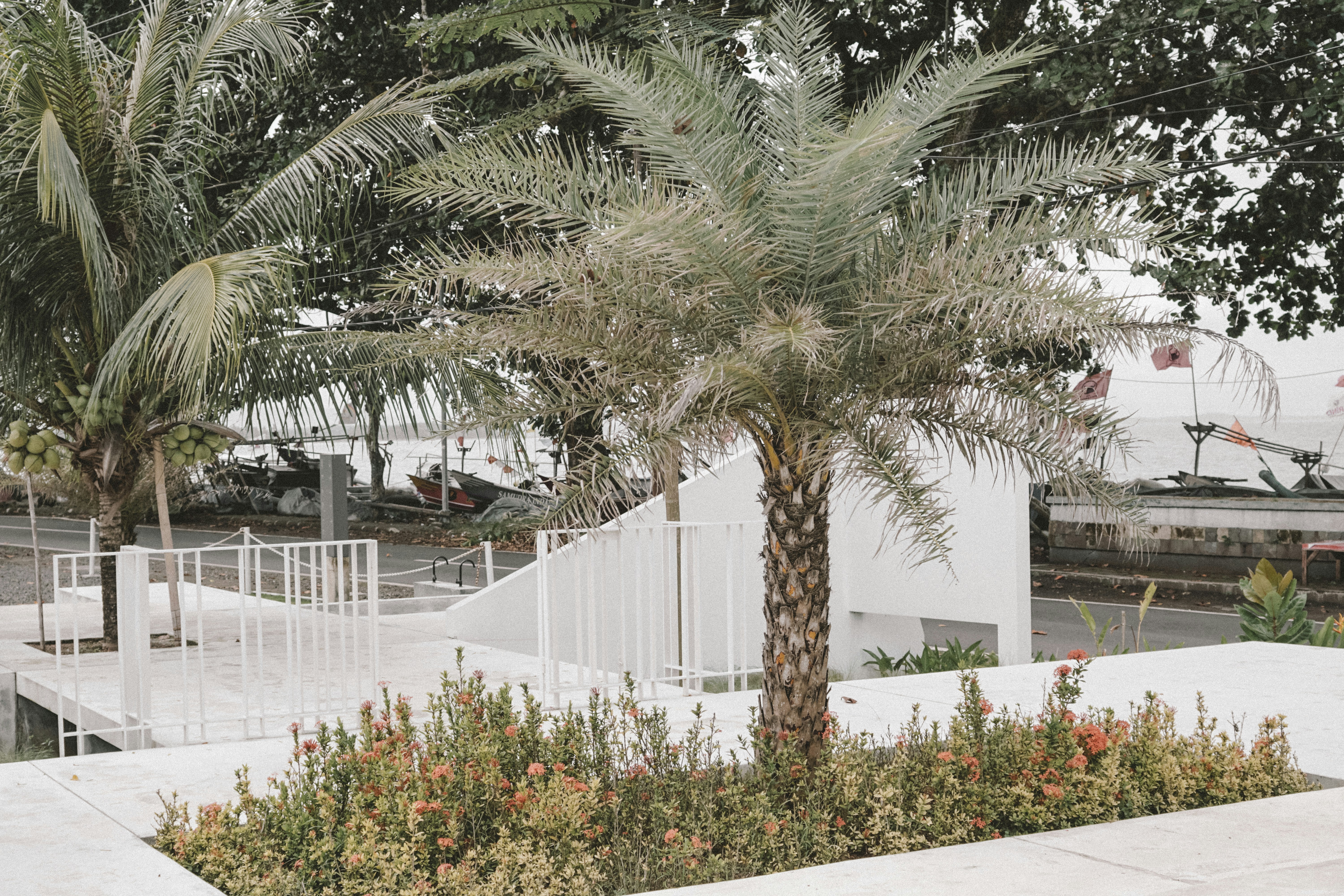 Photo by aseprendi12