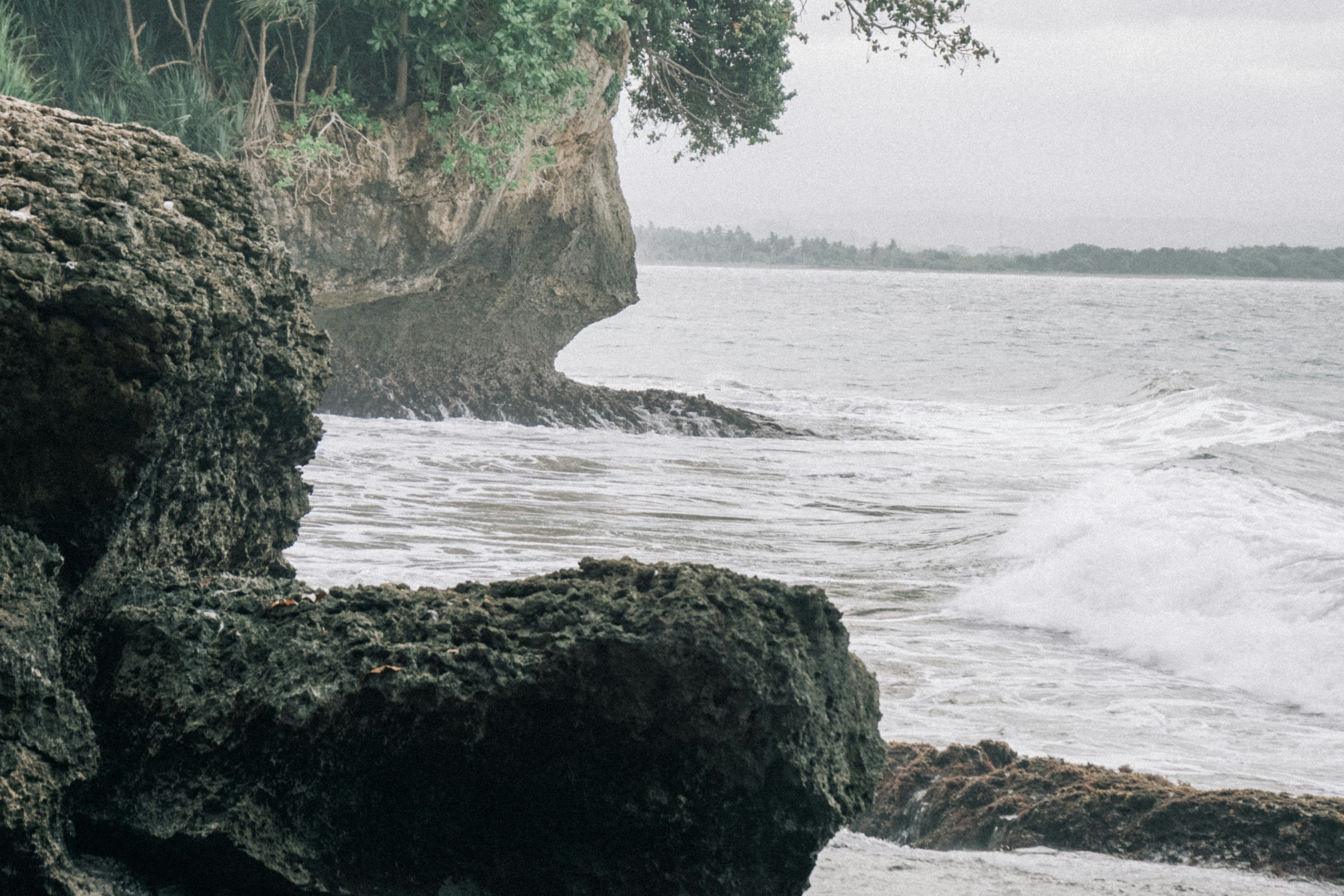 a bird sitting on a rock near the ocean