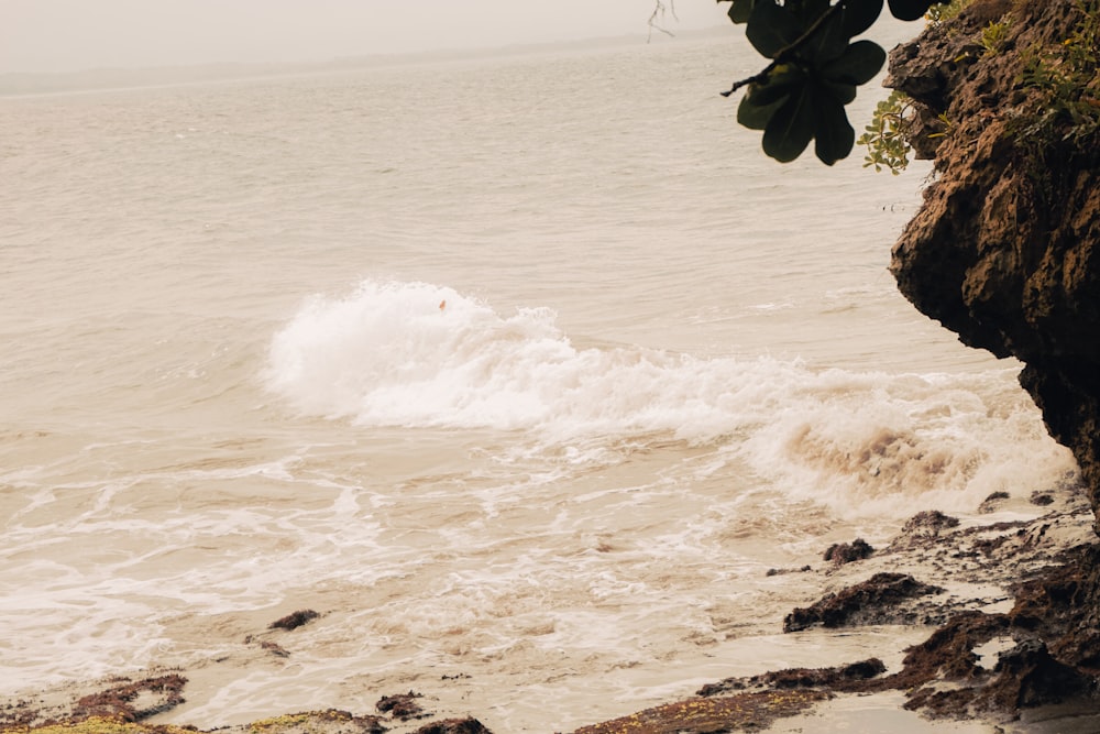 a person riding a surfboard on a wave in the ocean