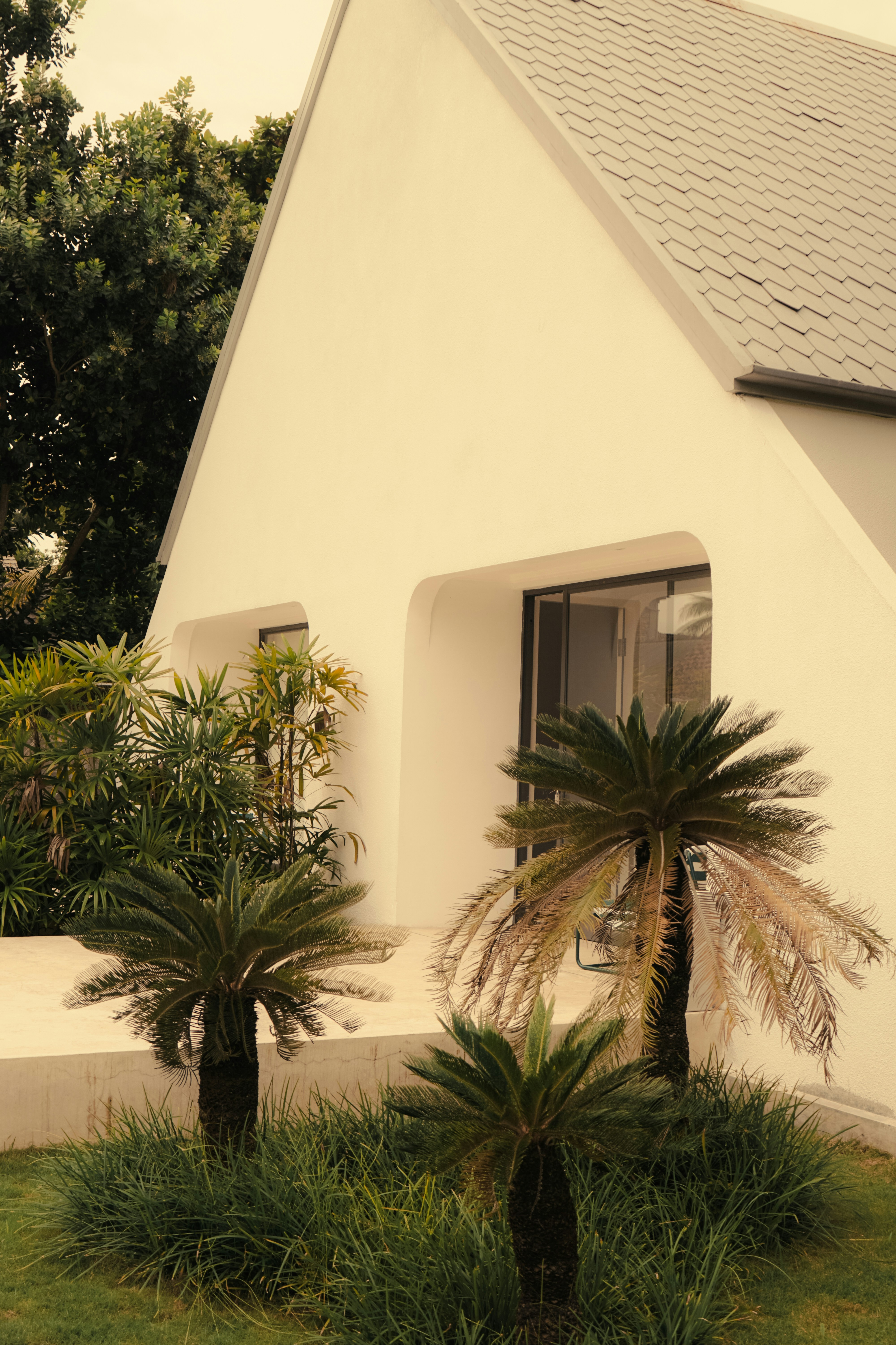 a white house with palm trees in front of it