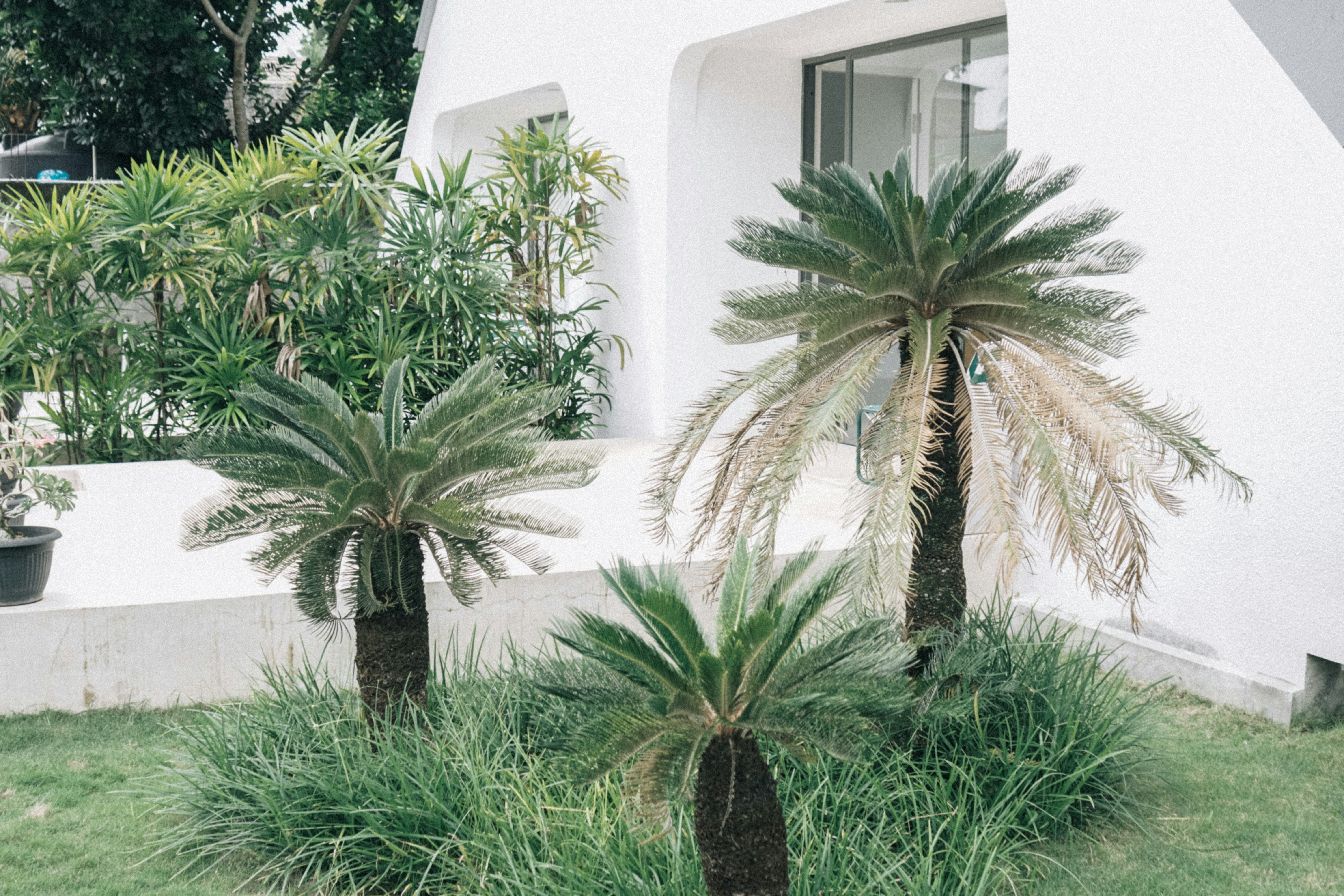 Photo by aseprendi12