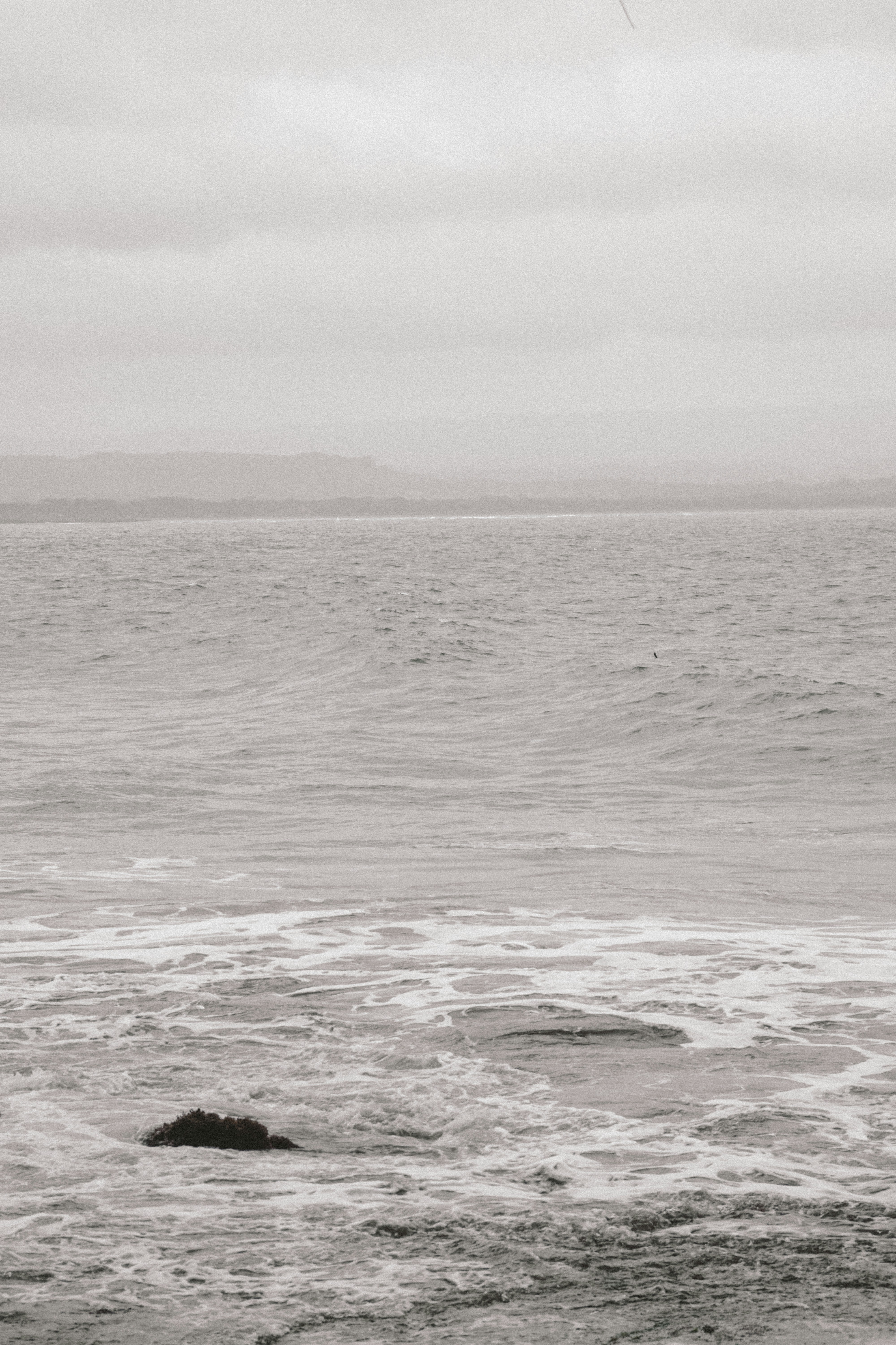 Photo by aseprendi12