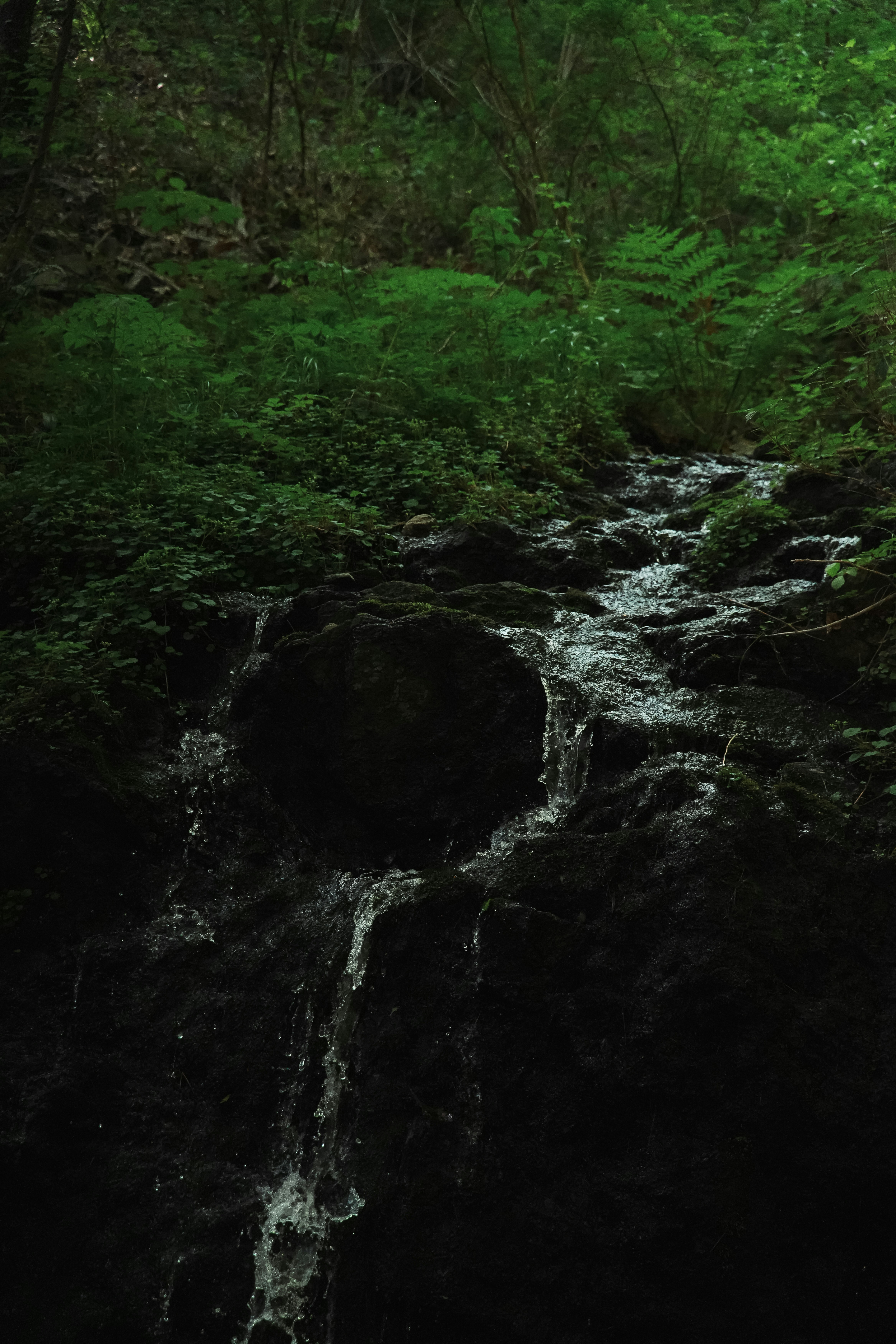 Photo by offtoseetheworld