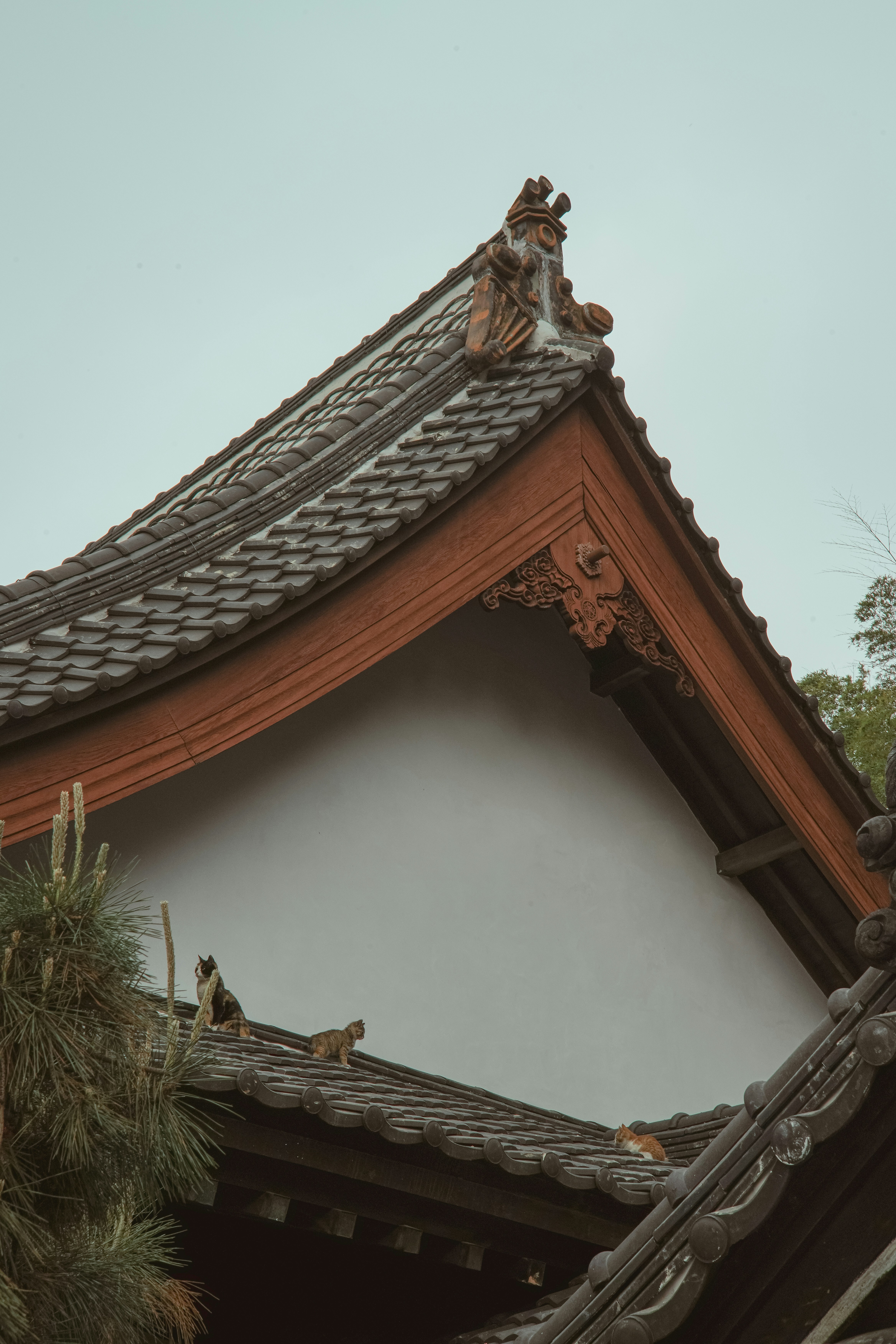 Photo by offtoseetheworld