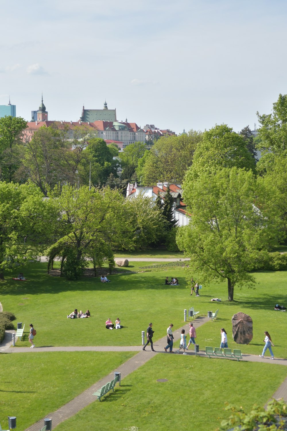 a group of people sitting on top of a lush green field