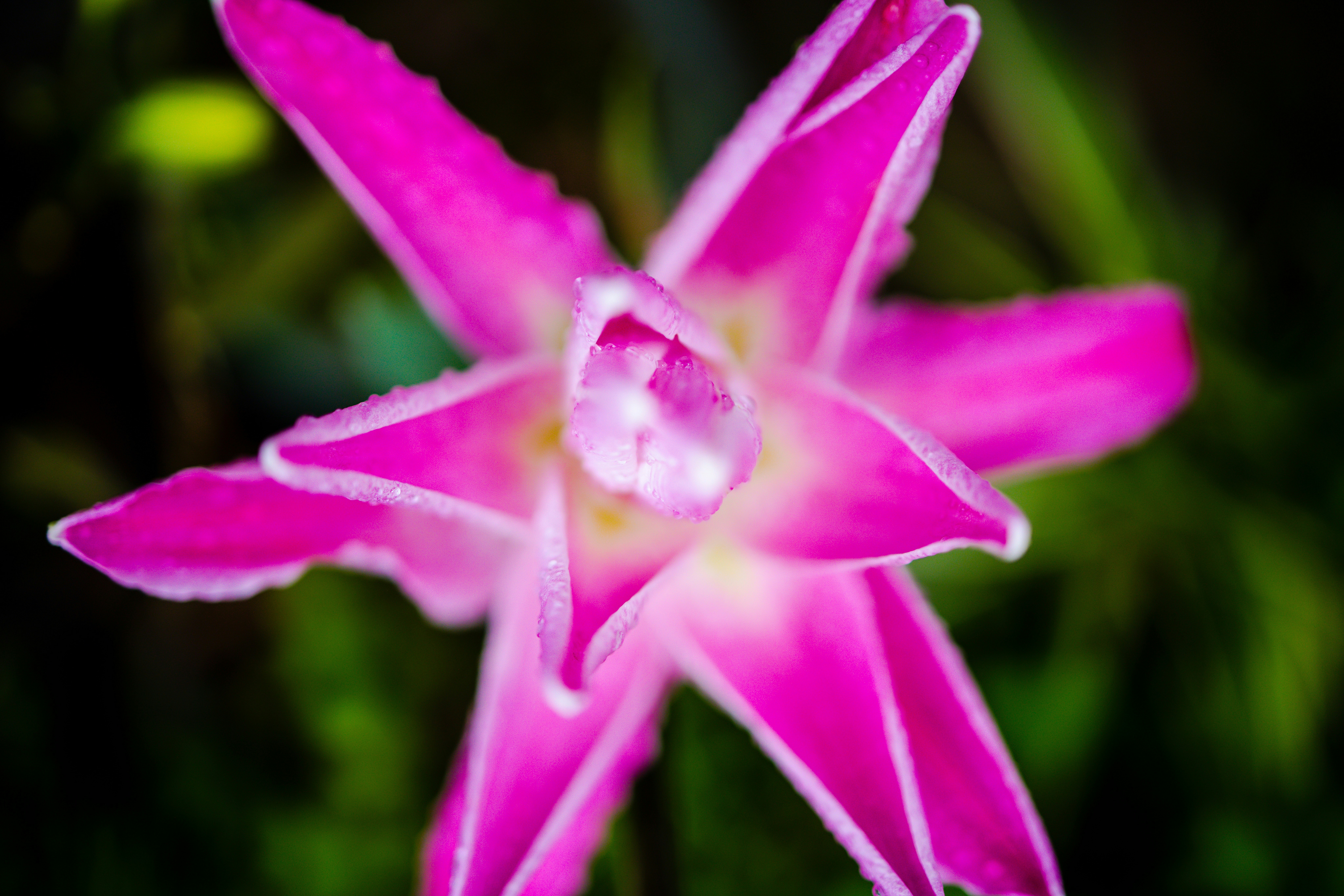 Photo by arttoinspire