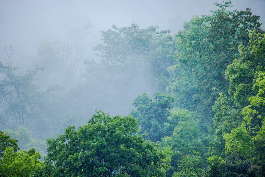 Luxury 3-Day Maubisse Itinerary: Timor-Leste Highland Escape