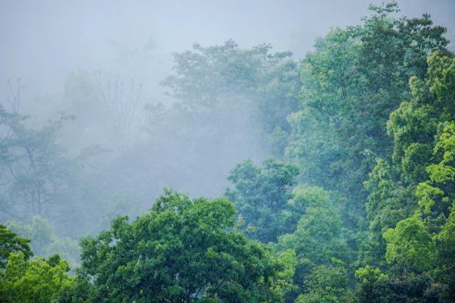 Luxury 3-Day Maubisse Itinerary: Timor-Leste Highland Escape