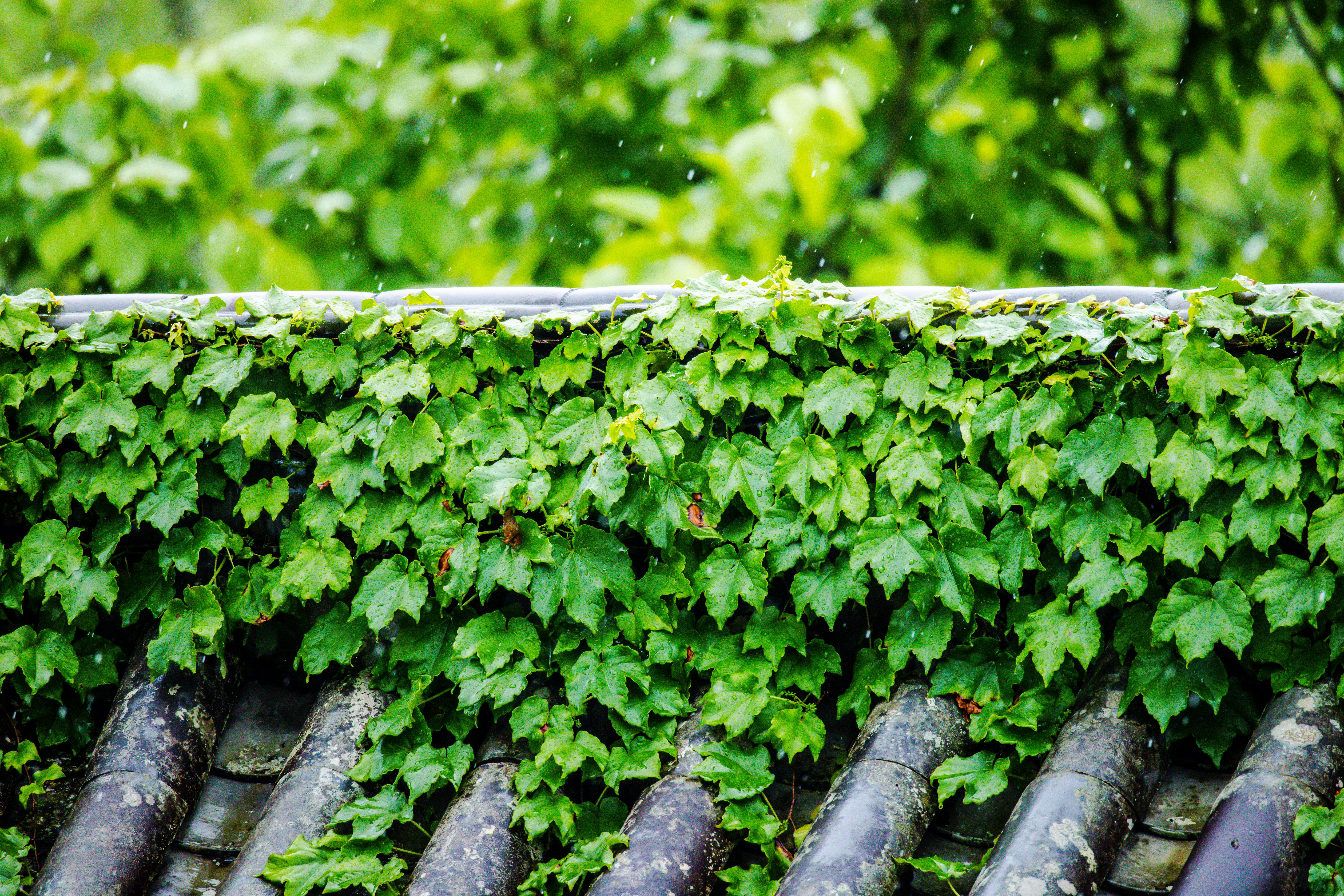 Photo by arttoinspire