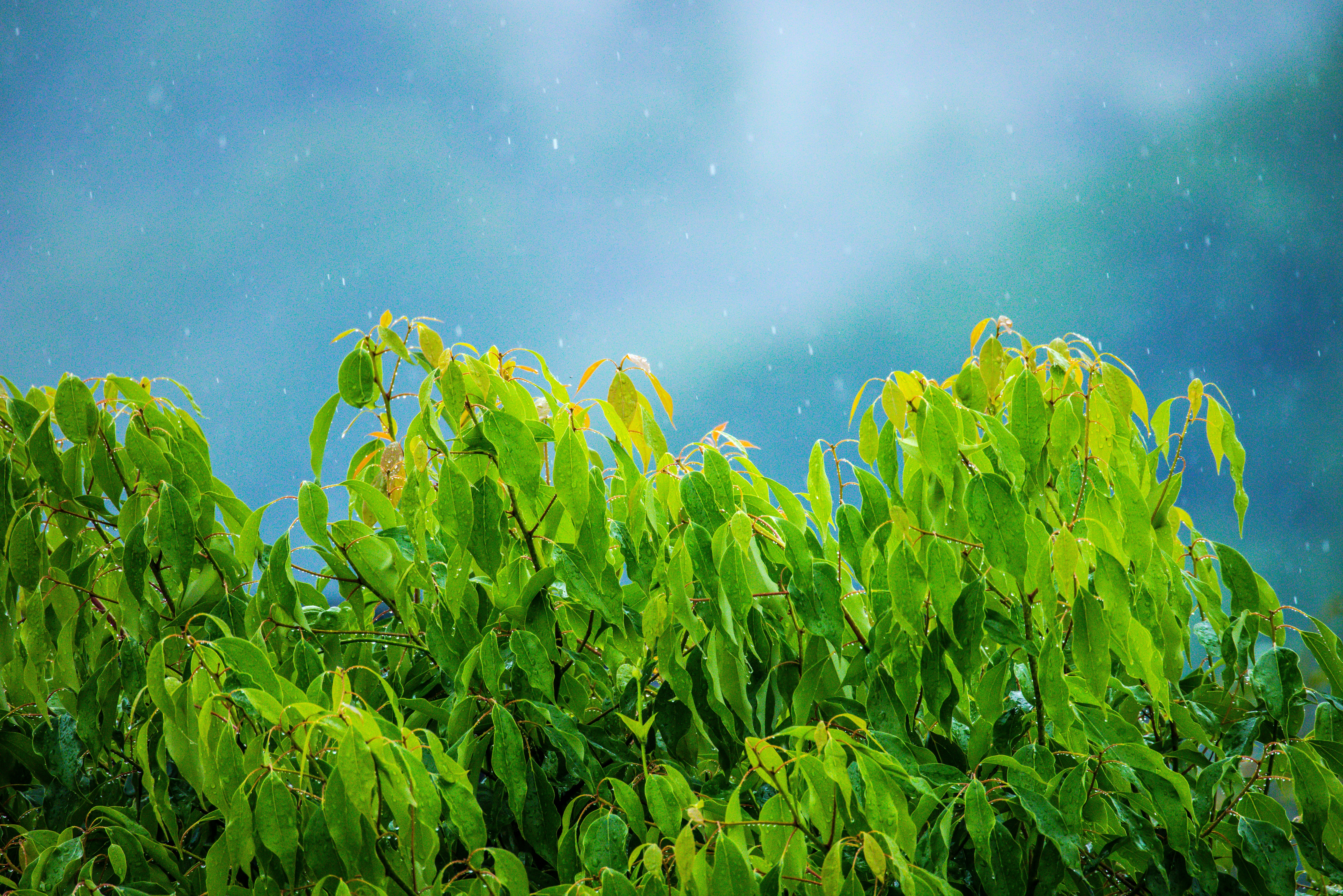 Photo by arttoinspire