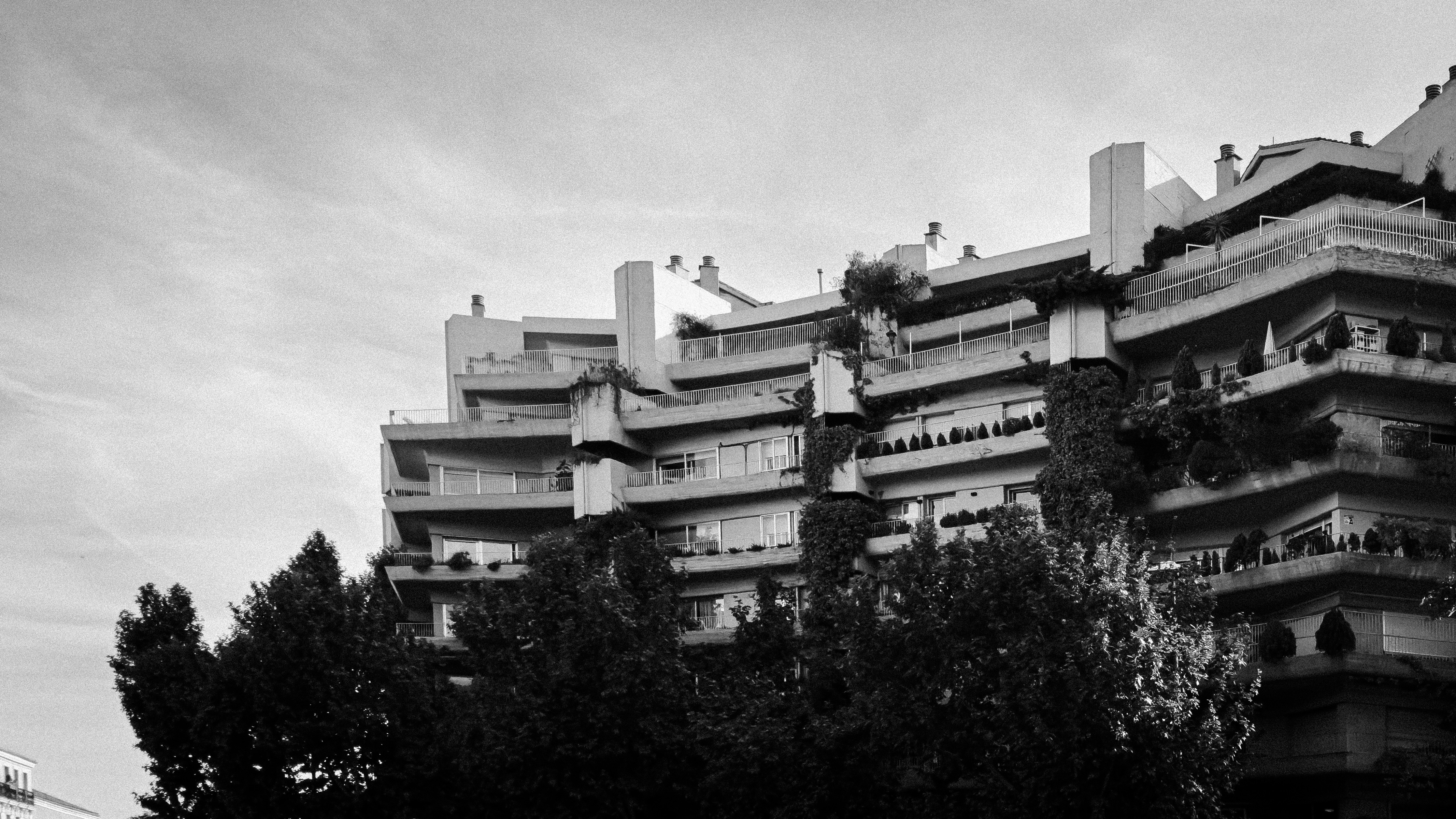 Photo by adrianmlopez