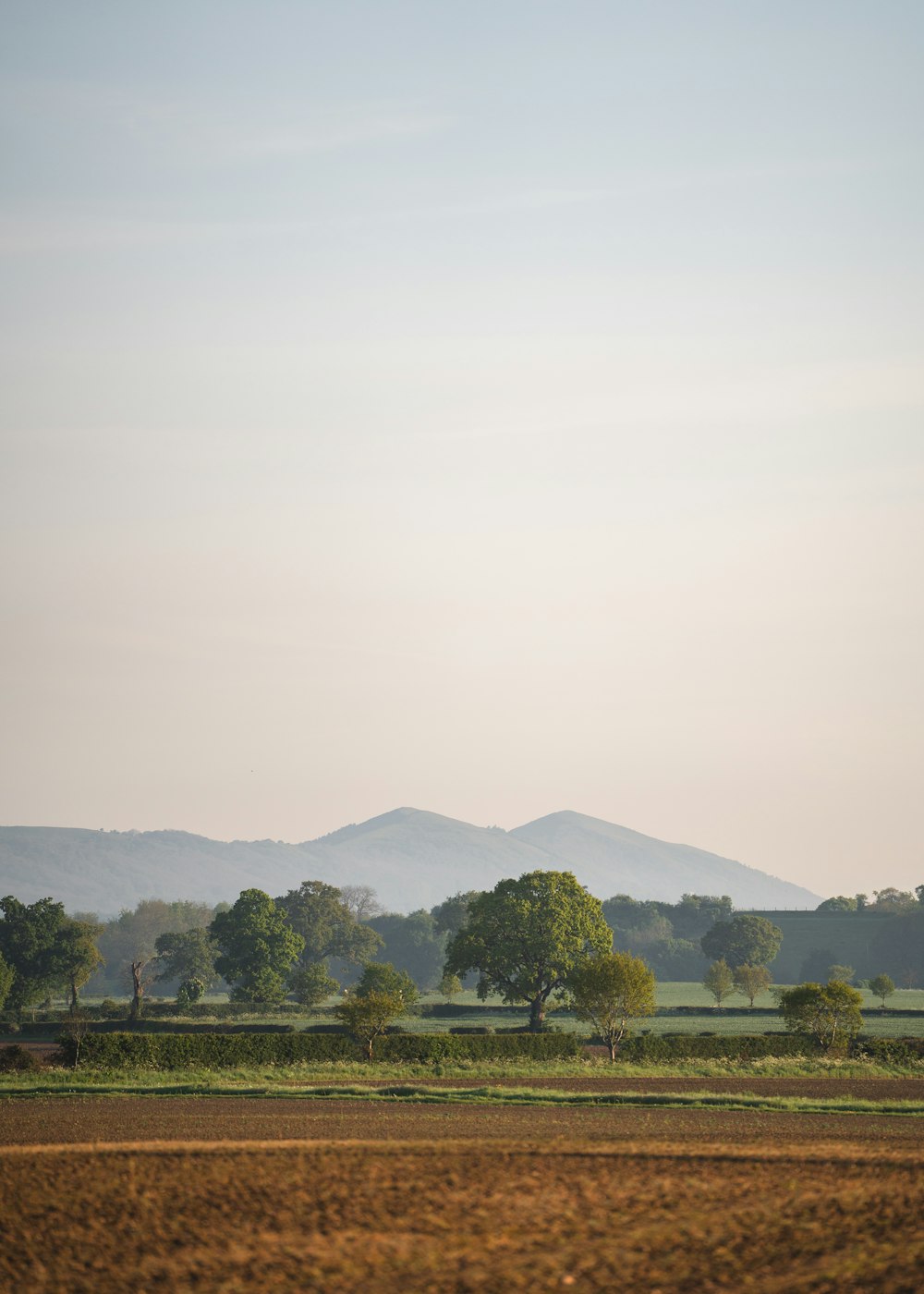 a field with trees and mountains in the background