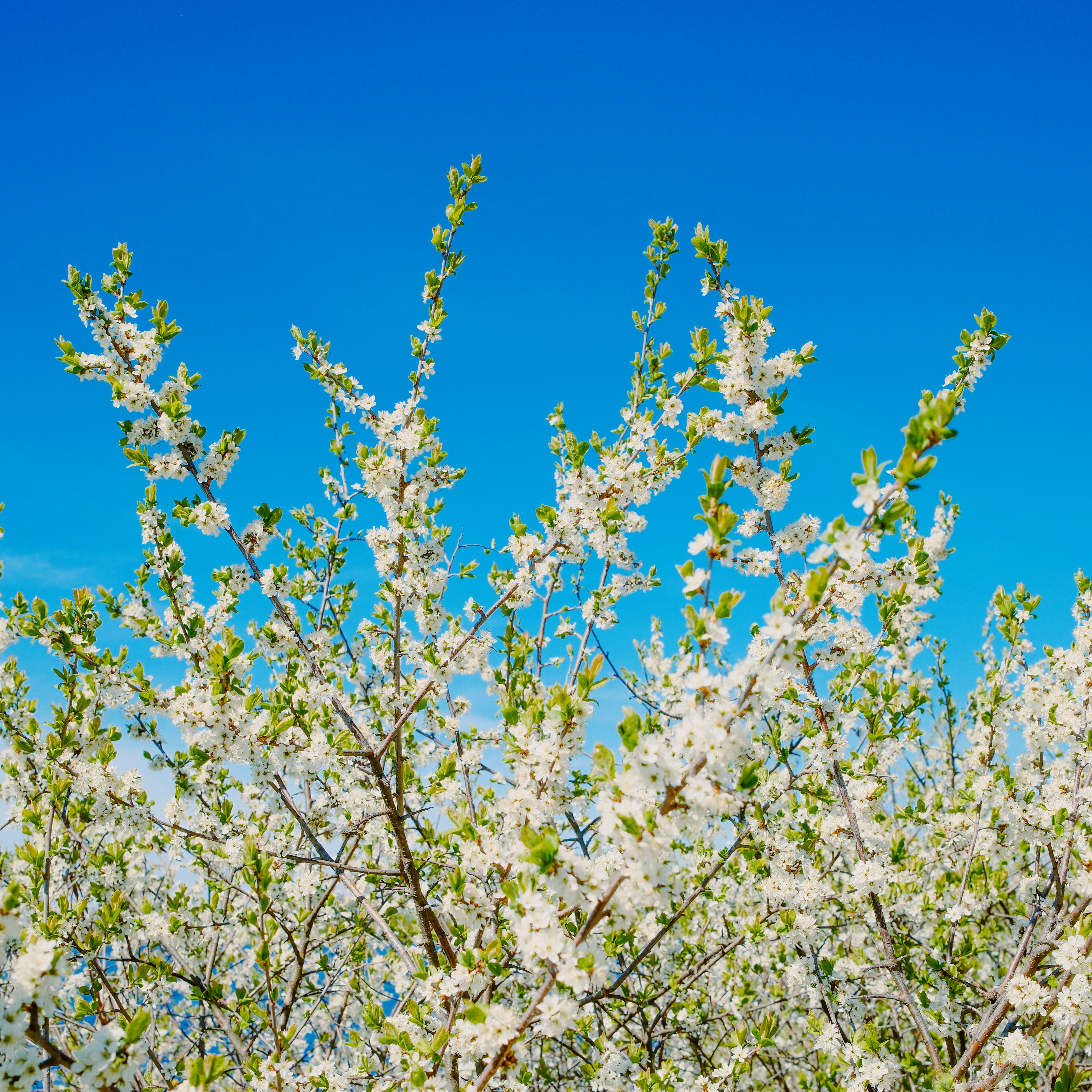 Photo by evil_bumblebee