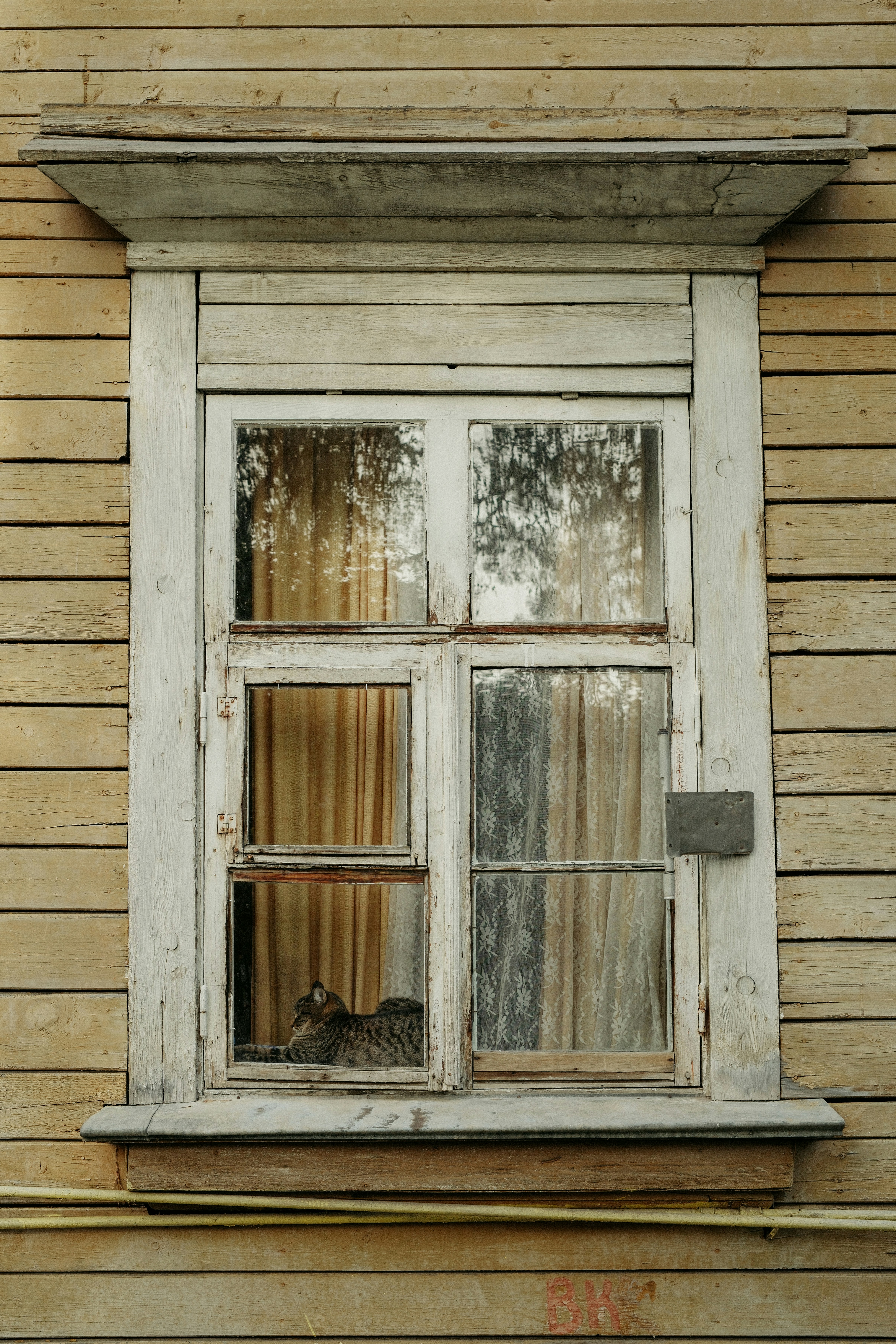 Photo by evil_bumblebee