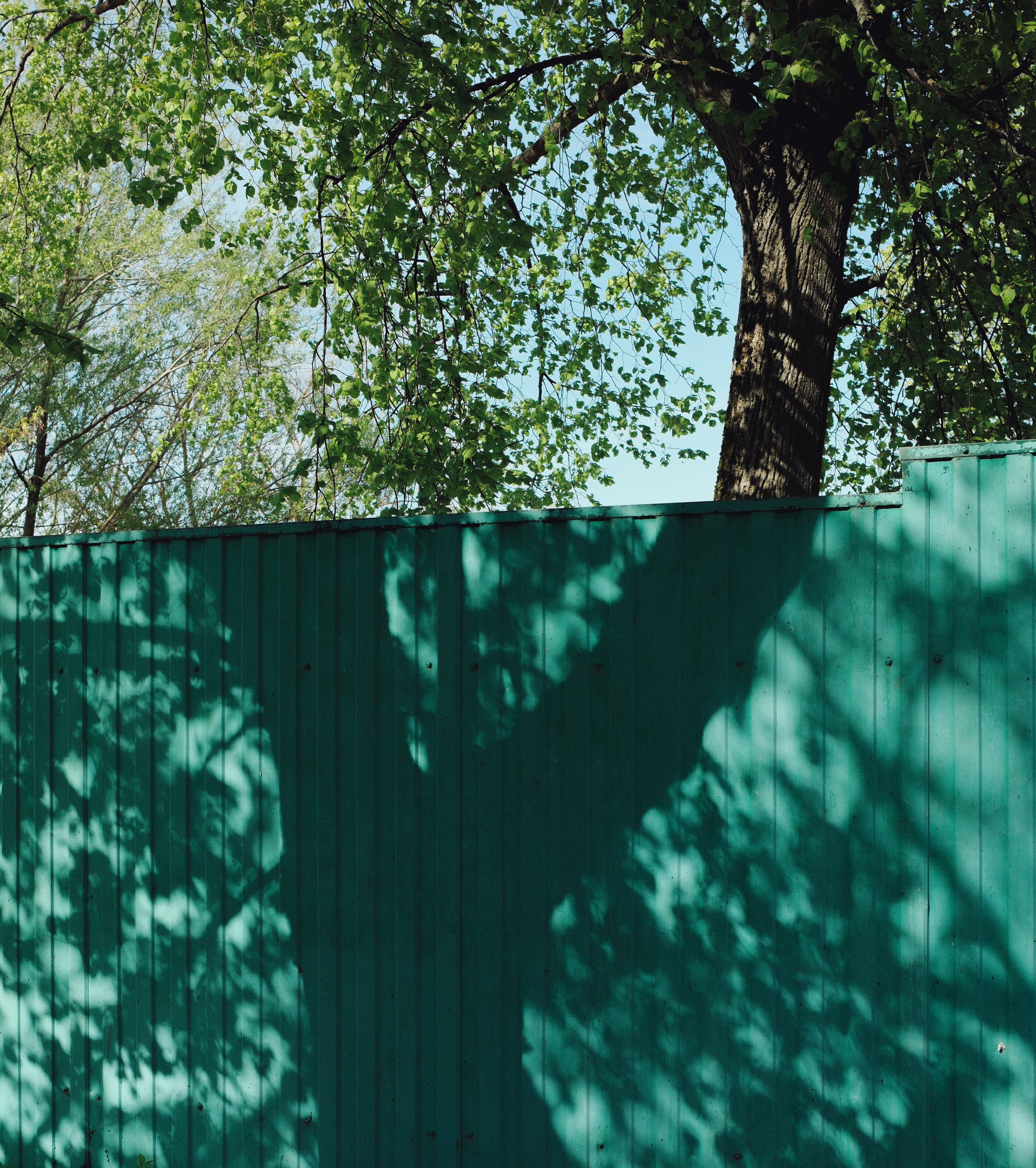 Photo by evil_bumblebee