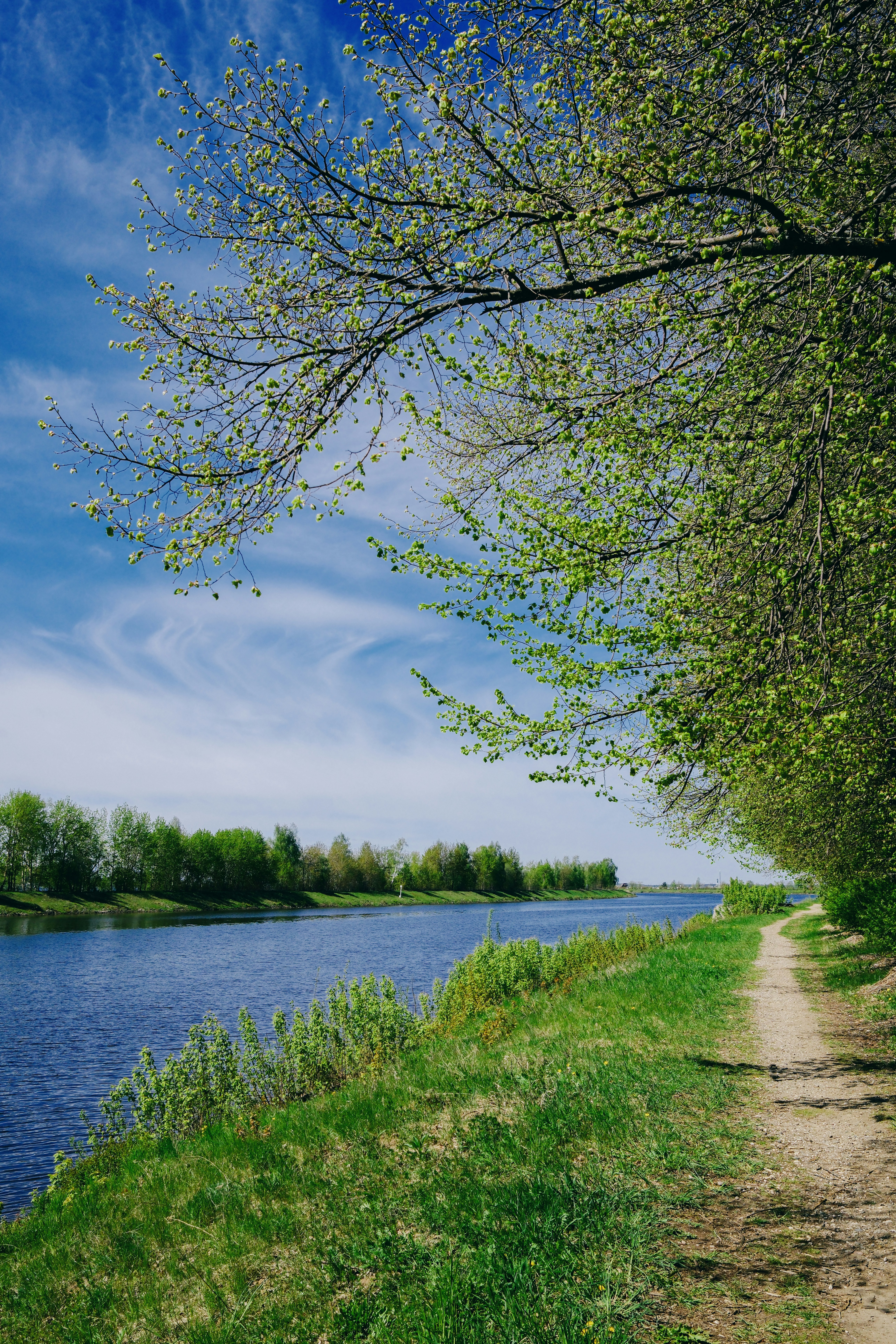 Photo by evil_bumblebee