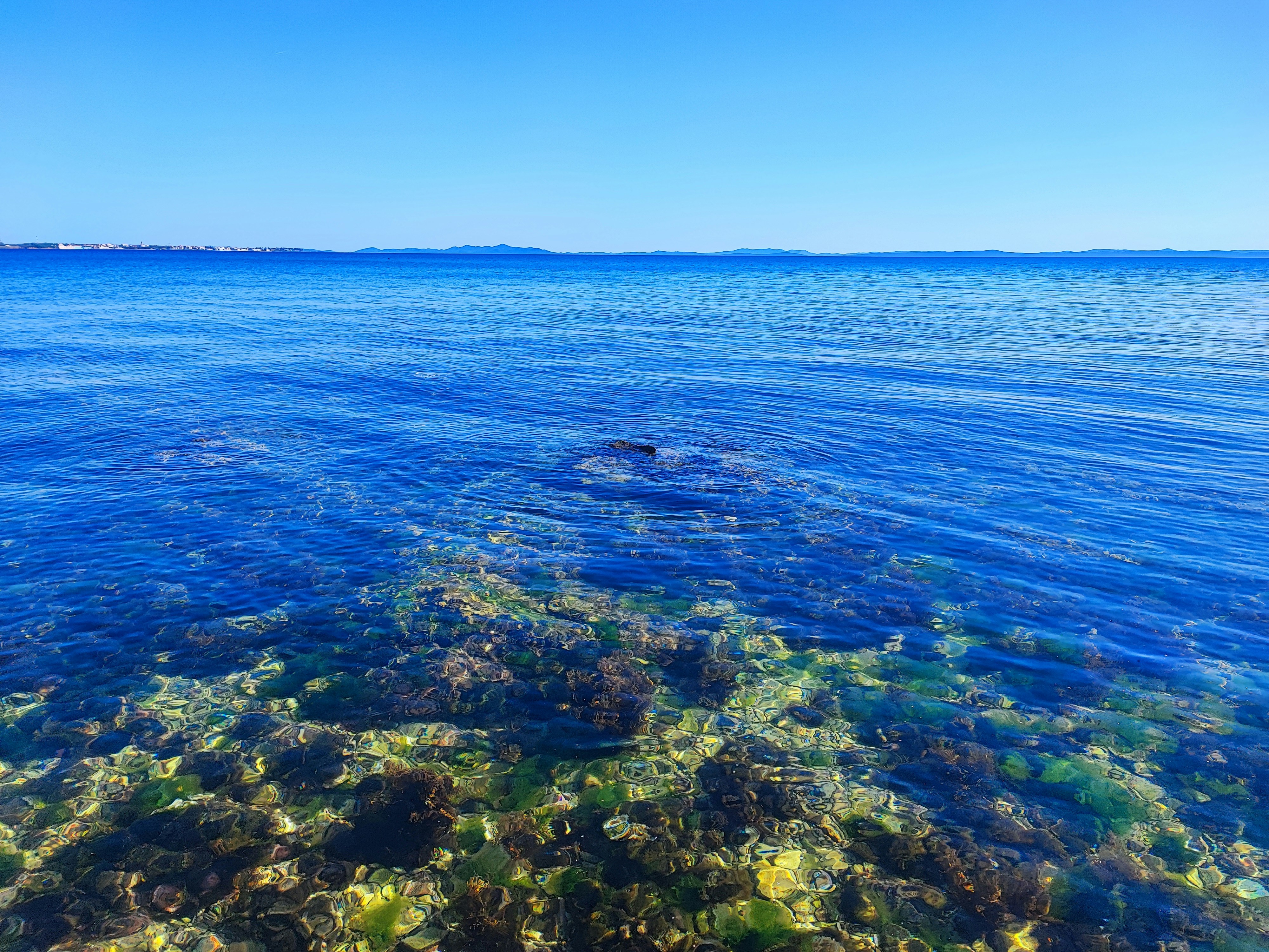 a body of water that has some plants in it, Beautiful blue Adriatic sea.