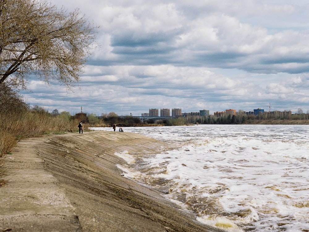 a couple of people walking along a beach next to a body of water