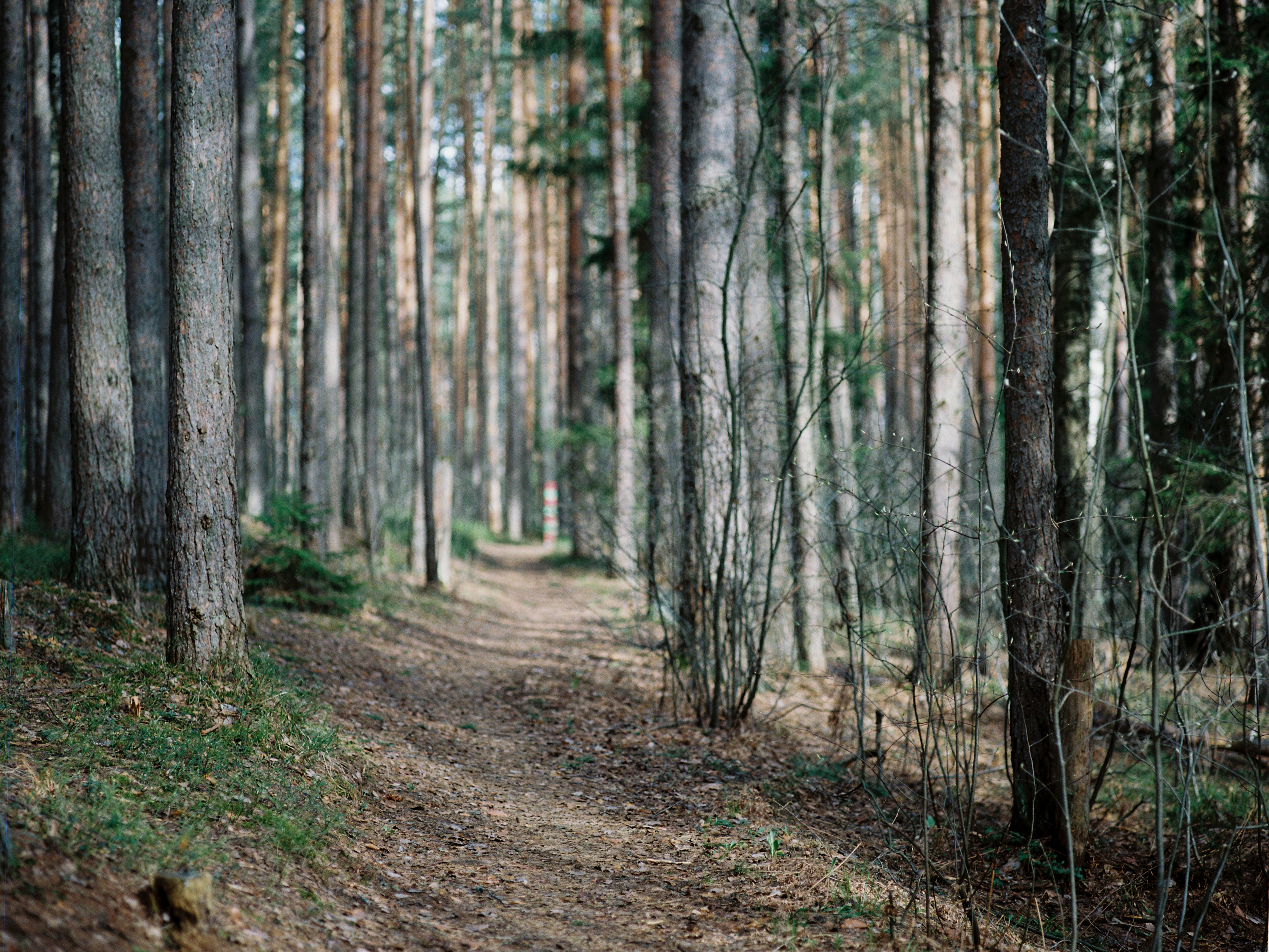 Photo by evil_bumblebee