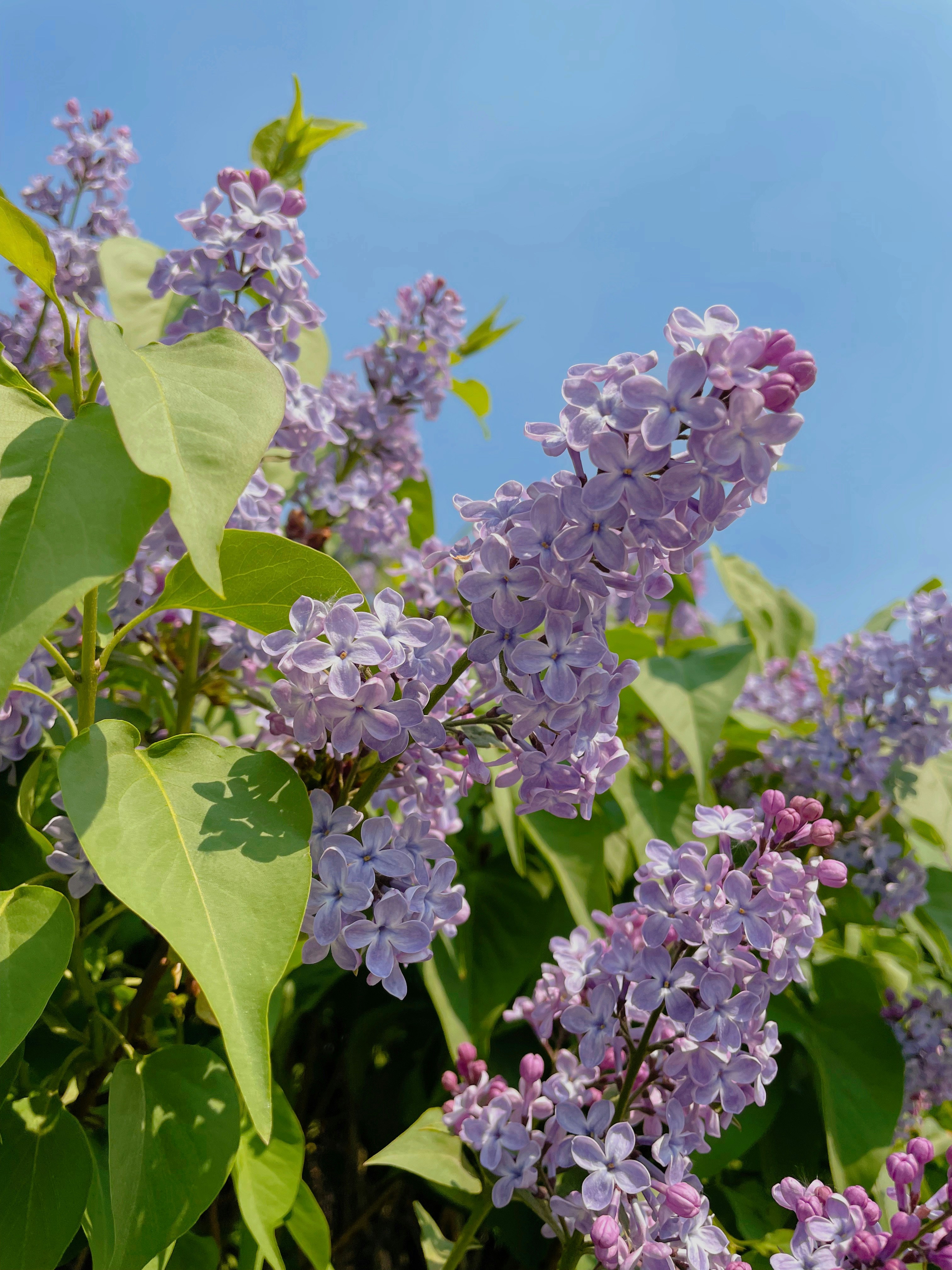 Photo by svetlananklv