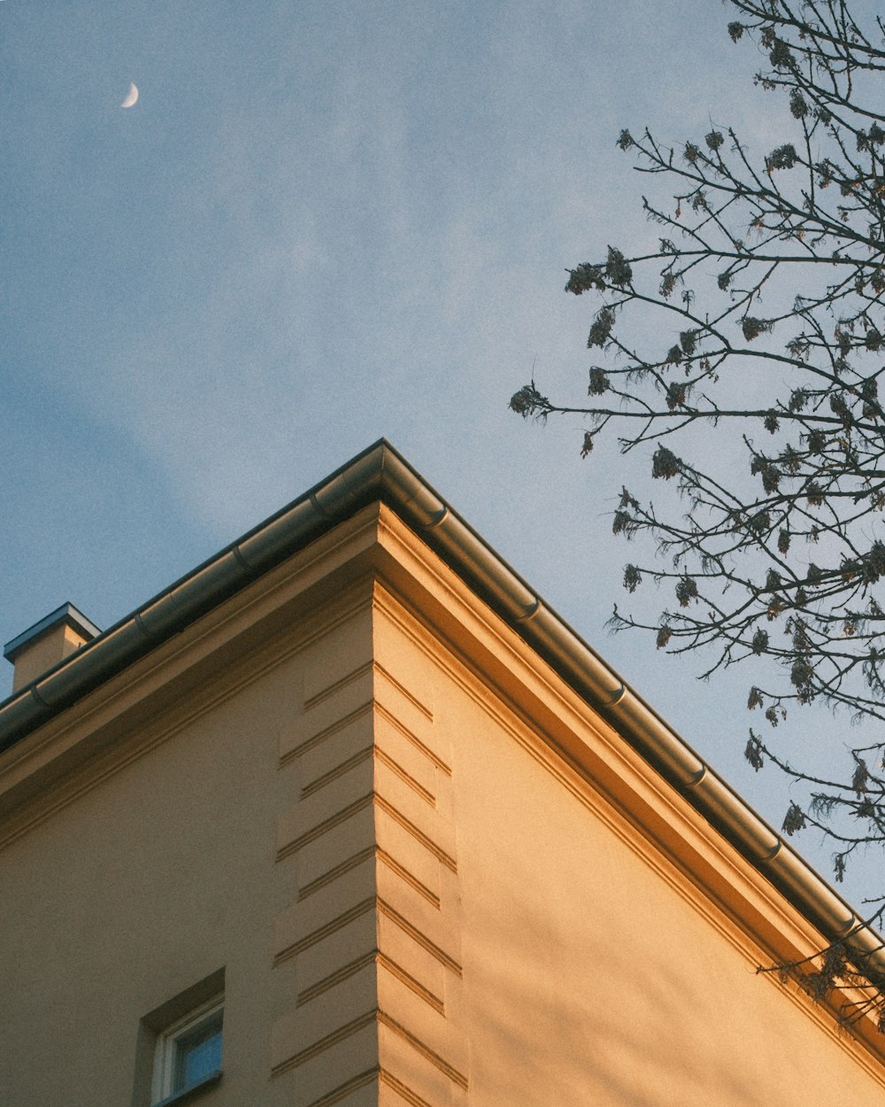 a tall building with a tree in front of it