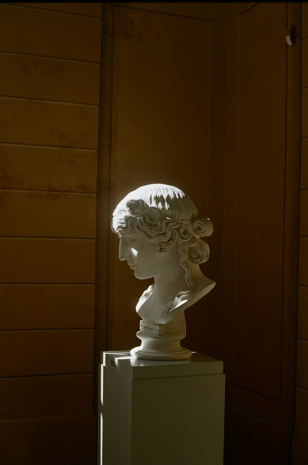 a statue of a woman with a flower in her hair