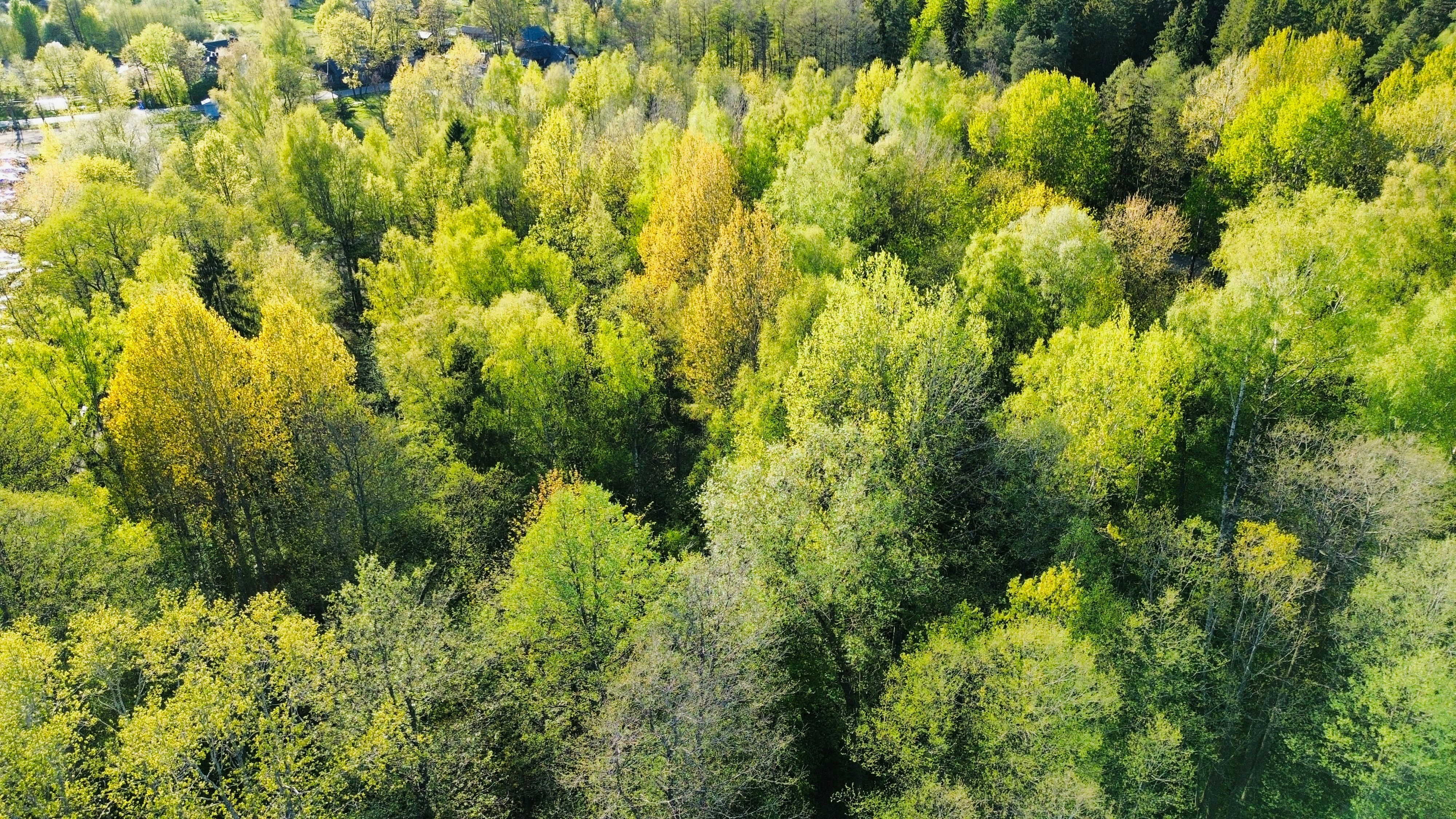 Photo by brunojurevics