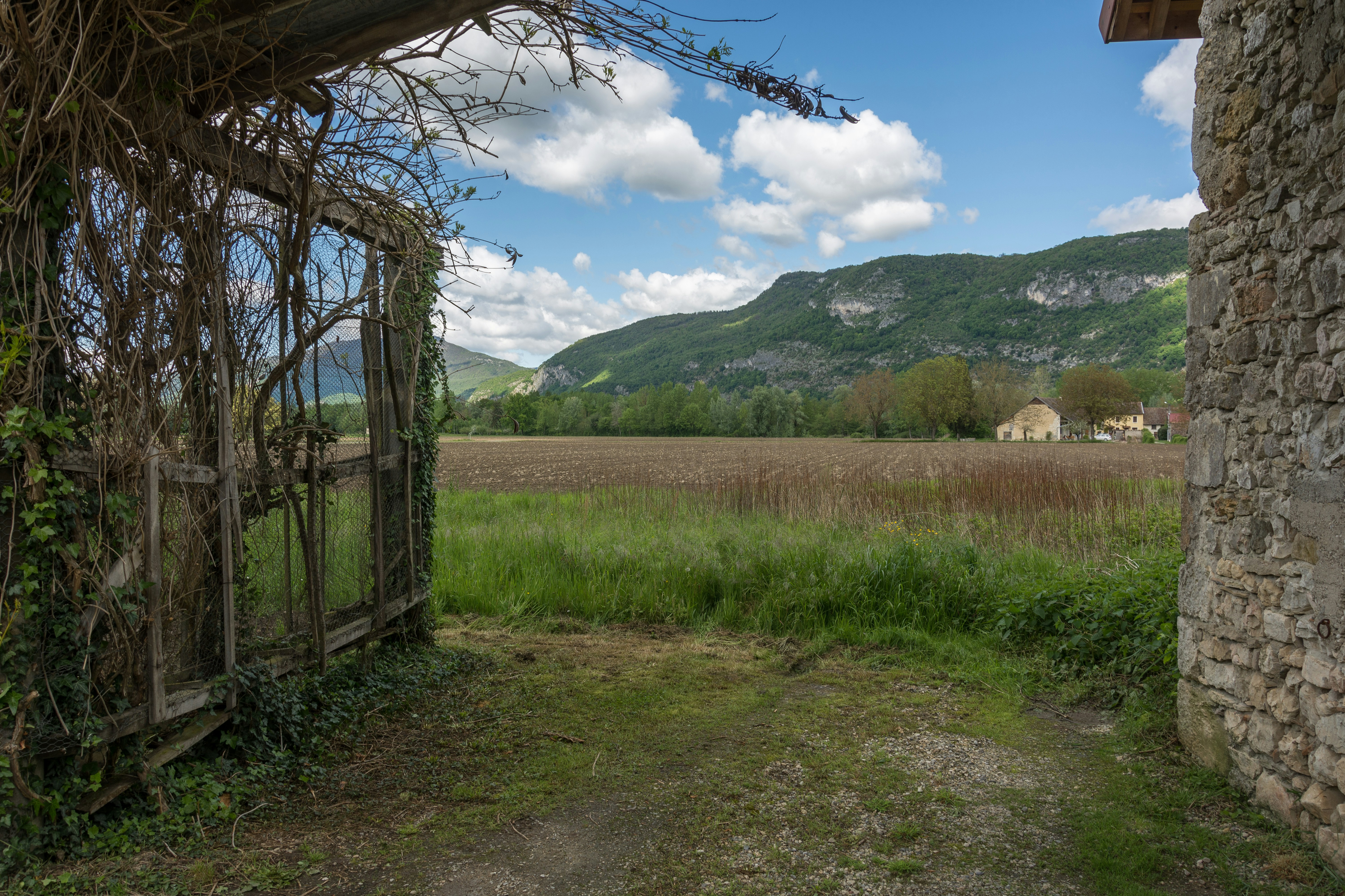 Photo by instantphotos