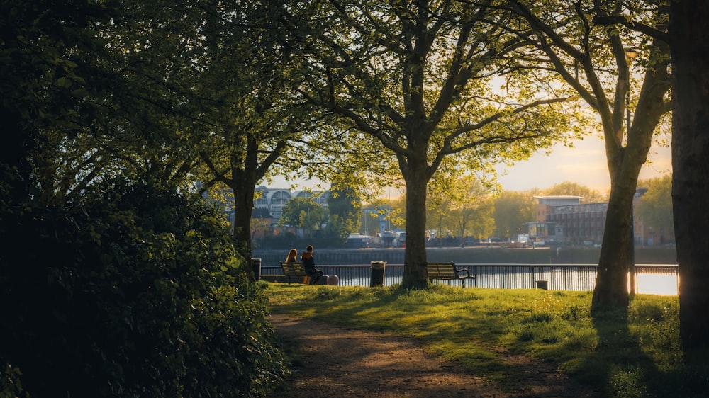 a couple of people sitting on a bench next to trees