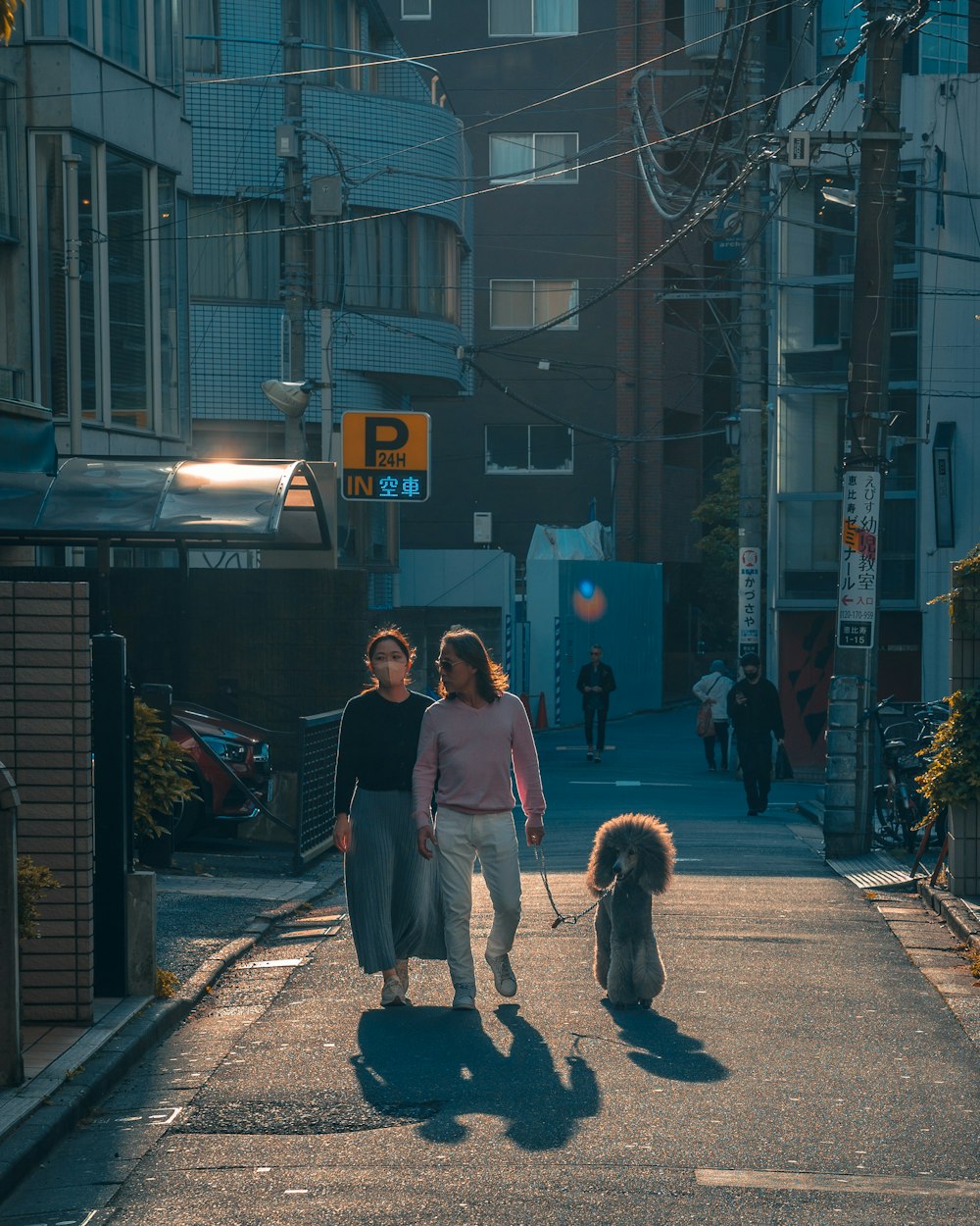 a couple of women walking a dog down a street