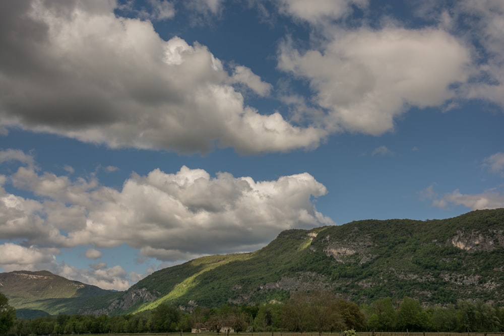 eine Wiese mit einem Berg im Hintergrund