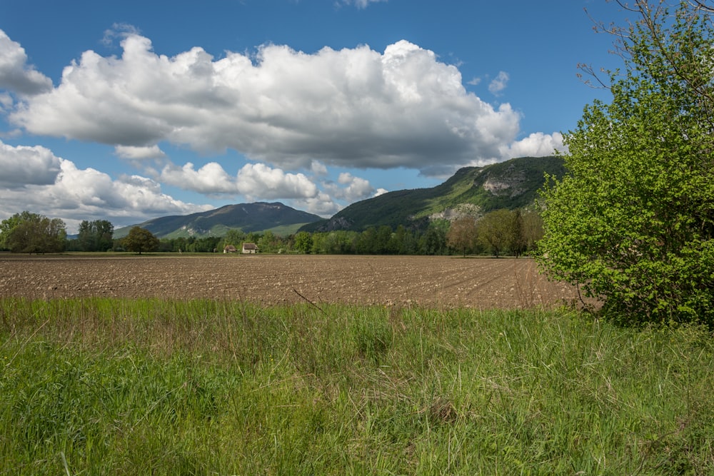 ein gepflügtes Feld mit Bergen im Hintergrund