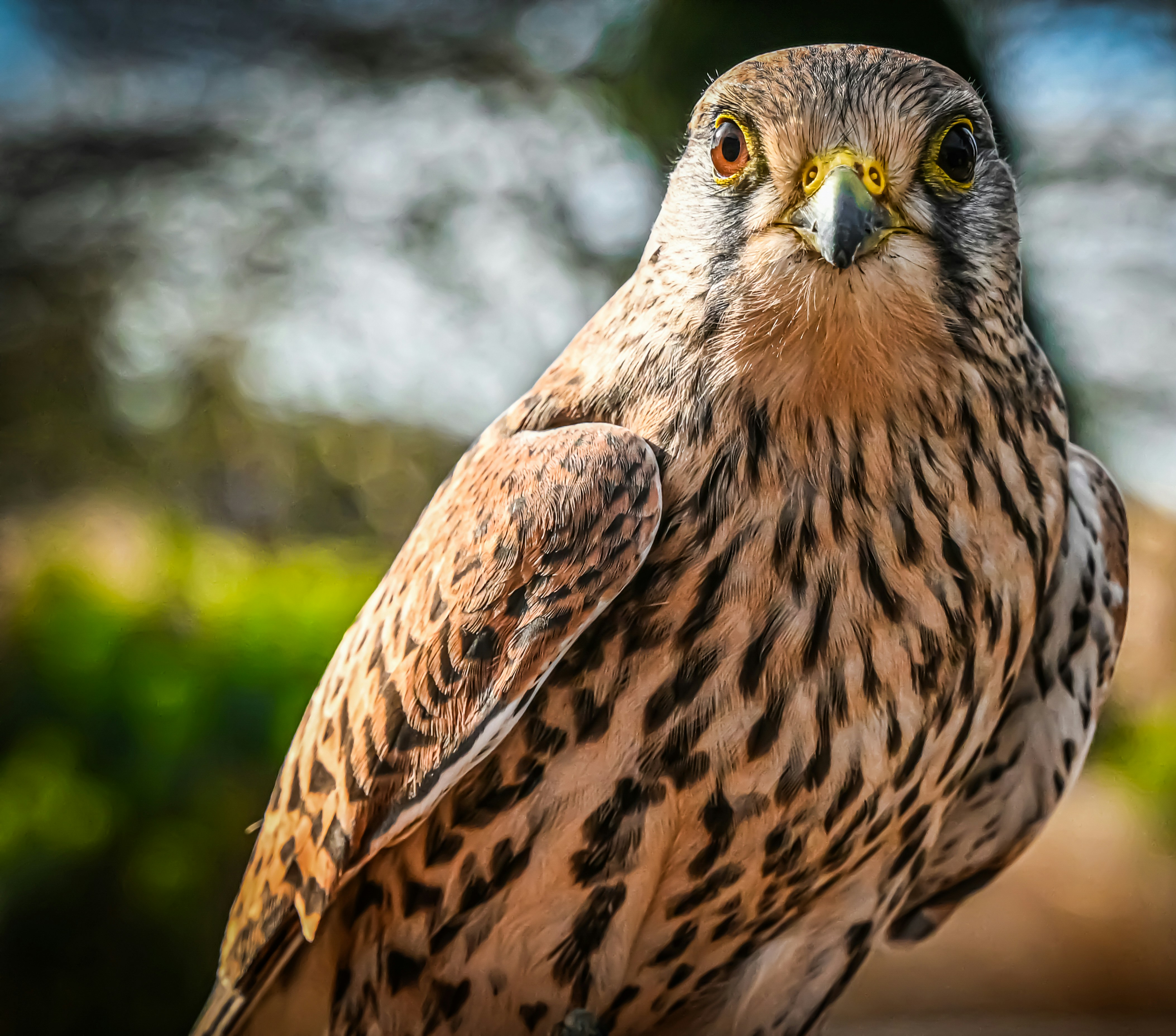 Photo by lucia_sorrentino