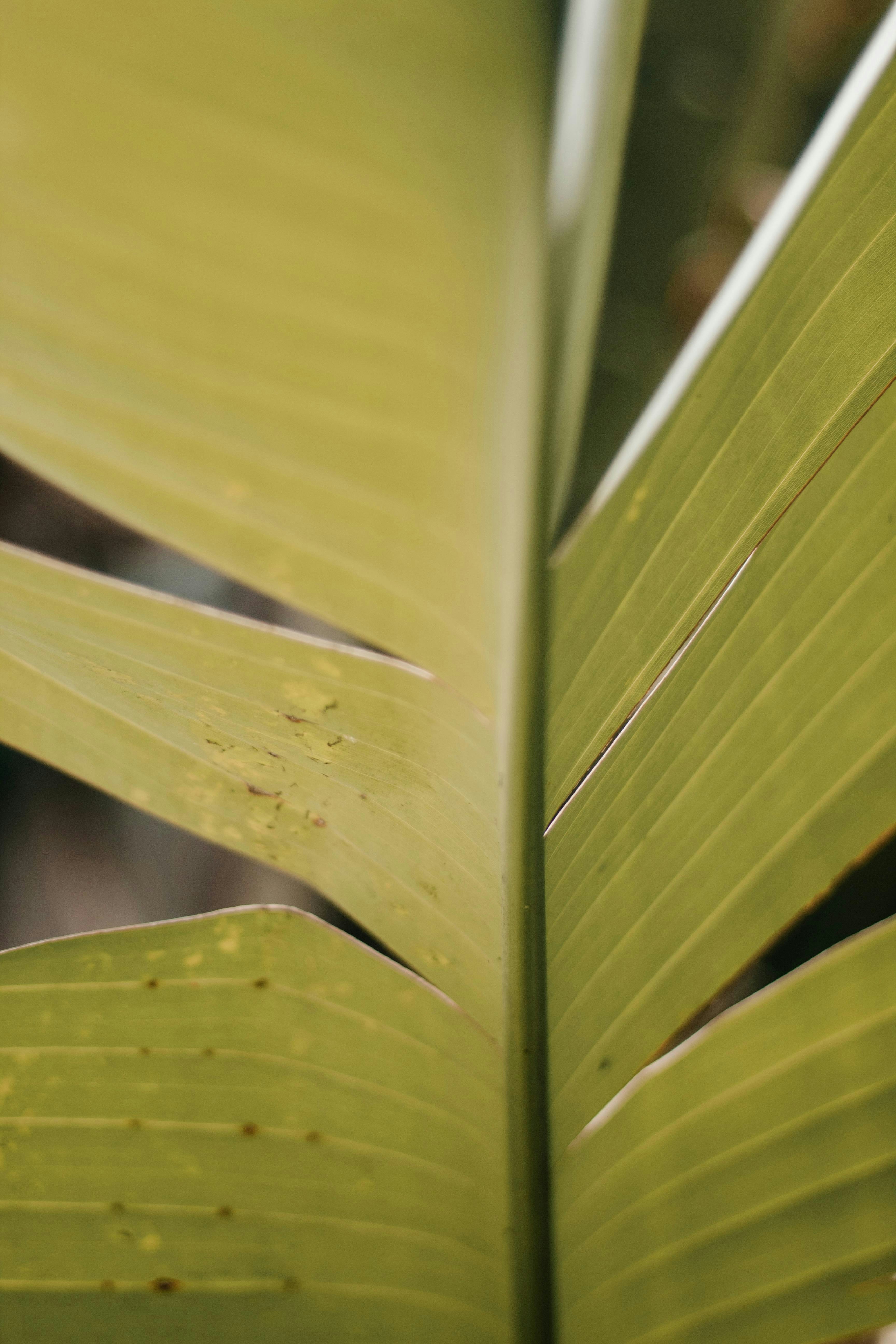 Photo by ashford_marx