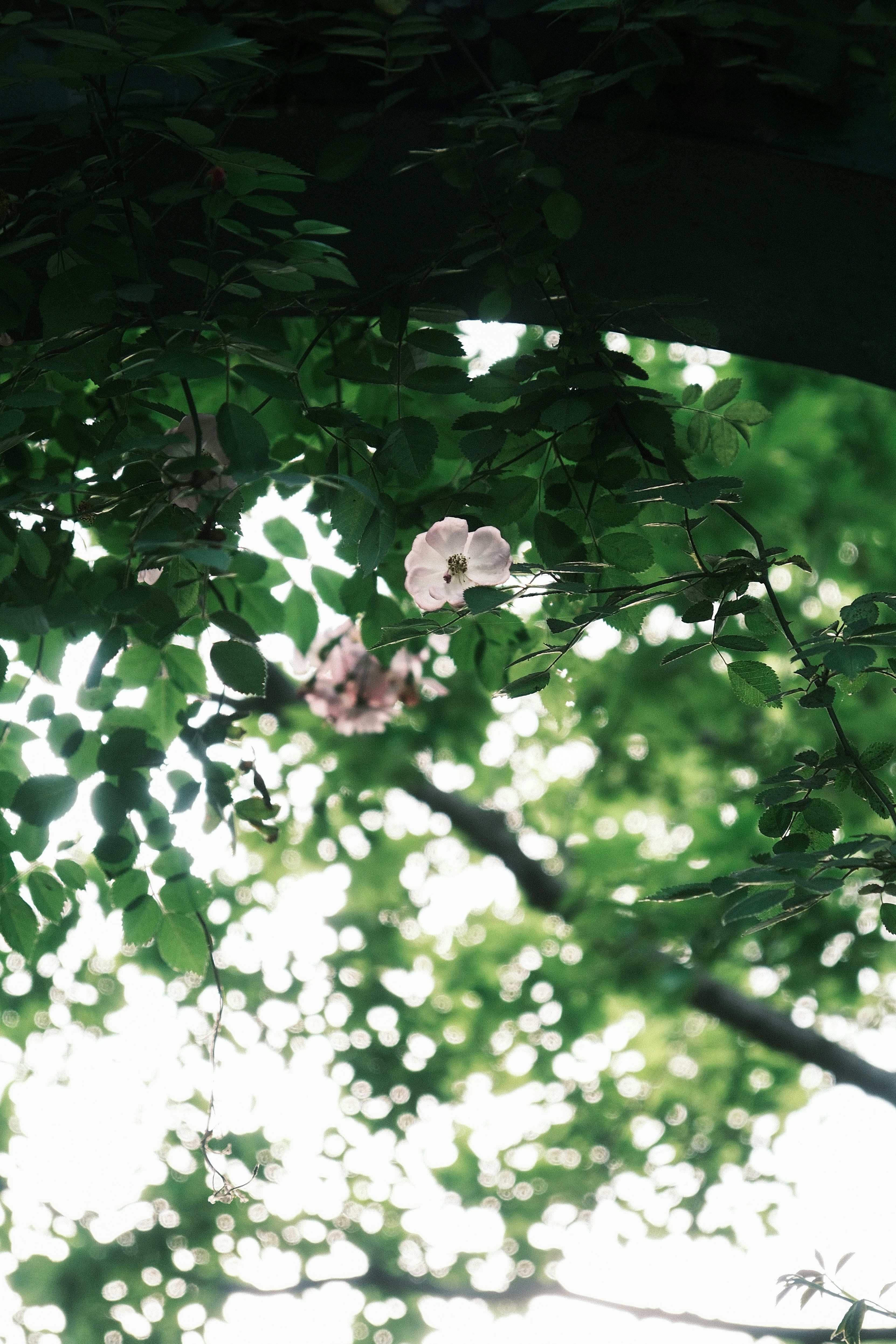 Photo by nathan901