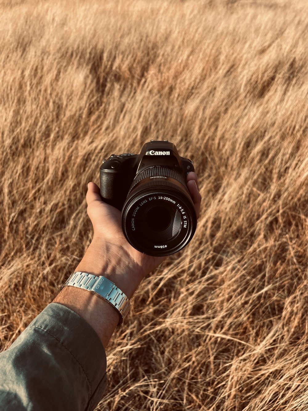 a person holding a camera in a field of tall grass