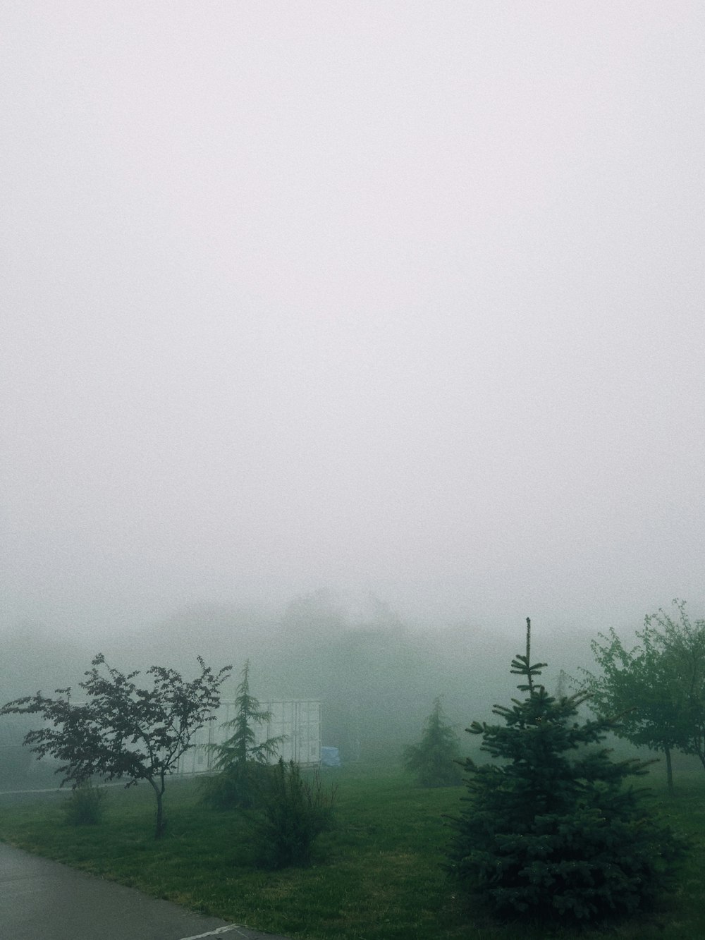 a foggy field with trees and a bench in the foreground