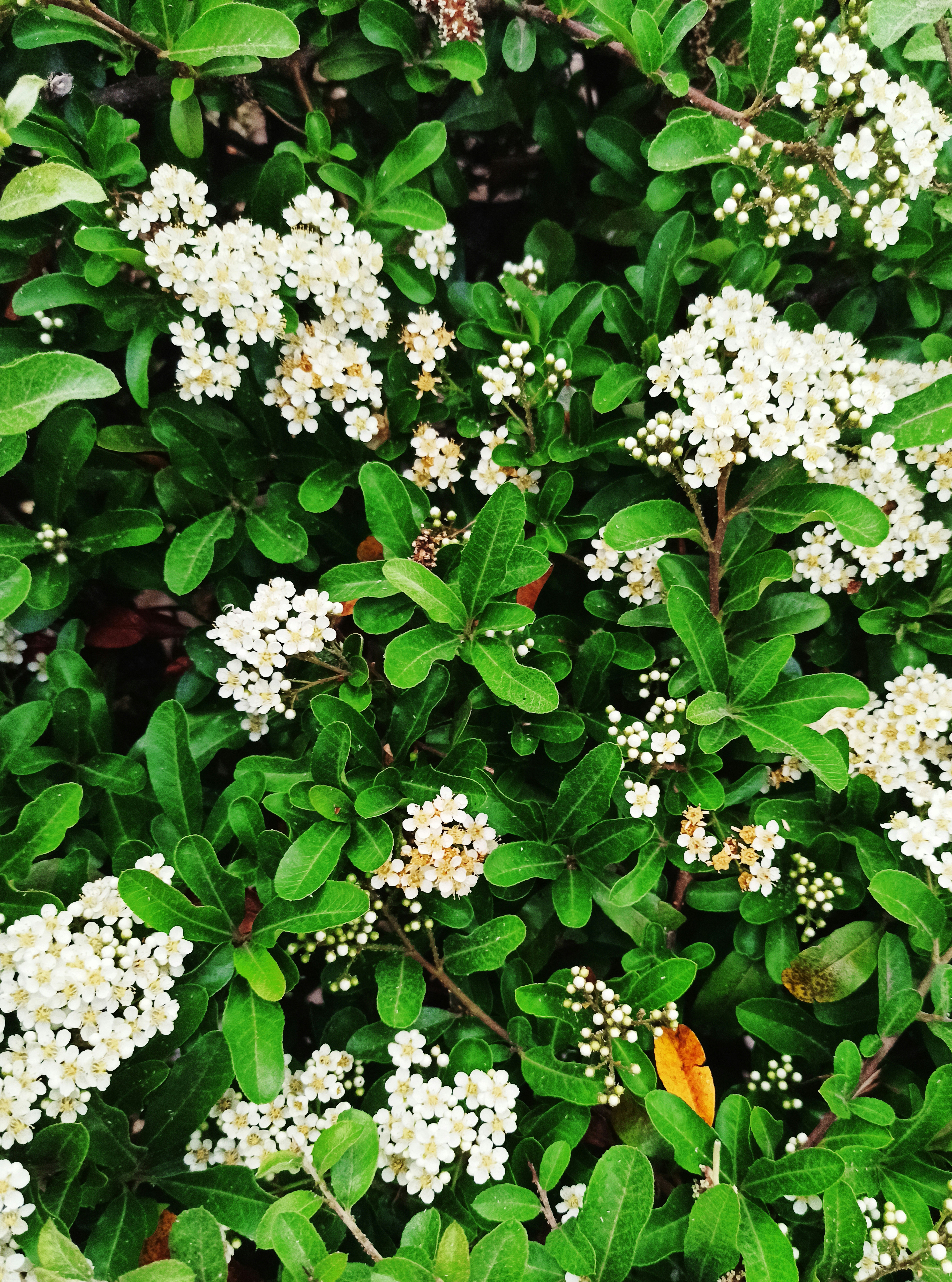 Photo by rashedpaykary