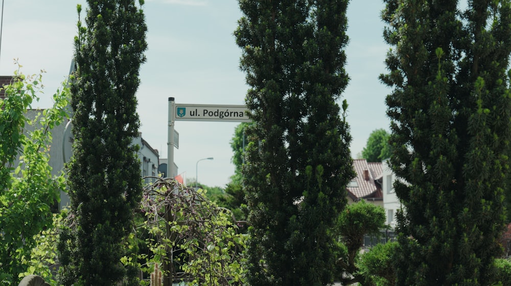 a street sign in front of a row of trees