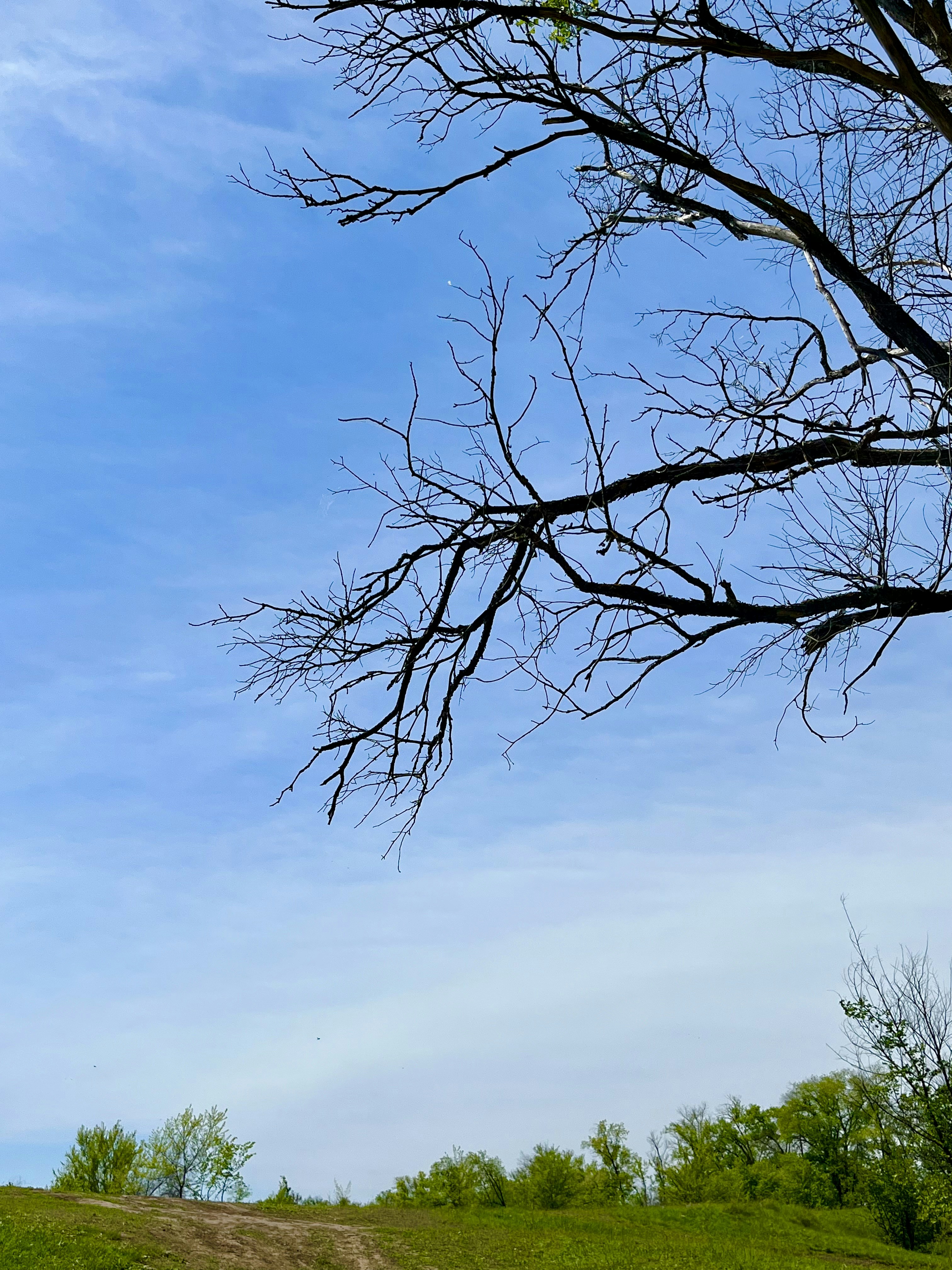 Photo by katrin_bloom