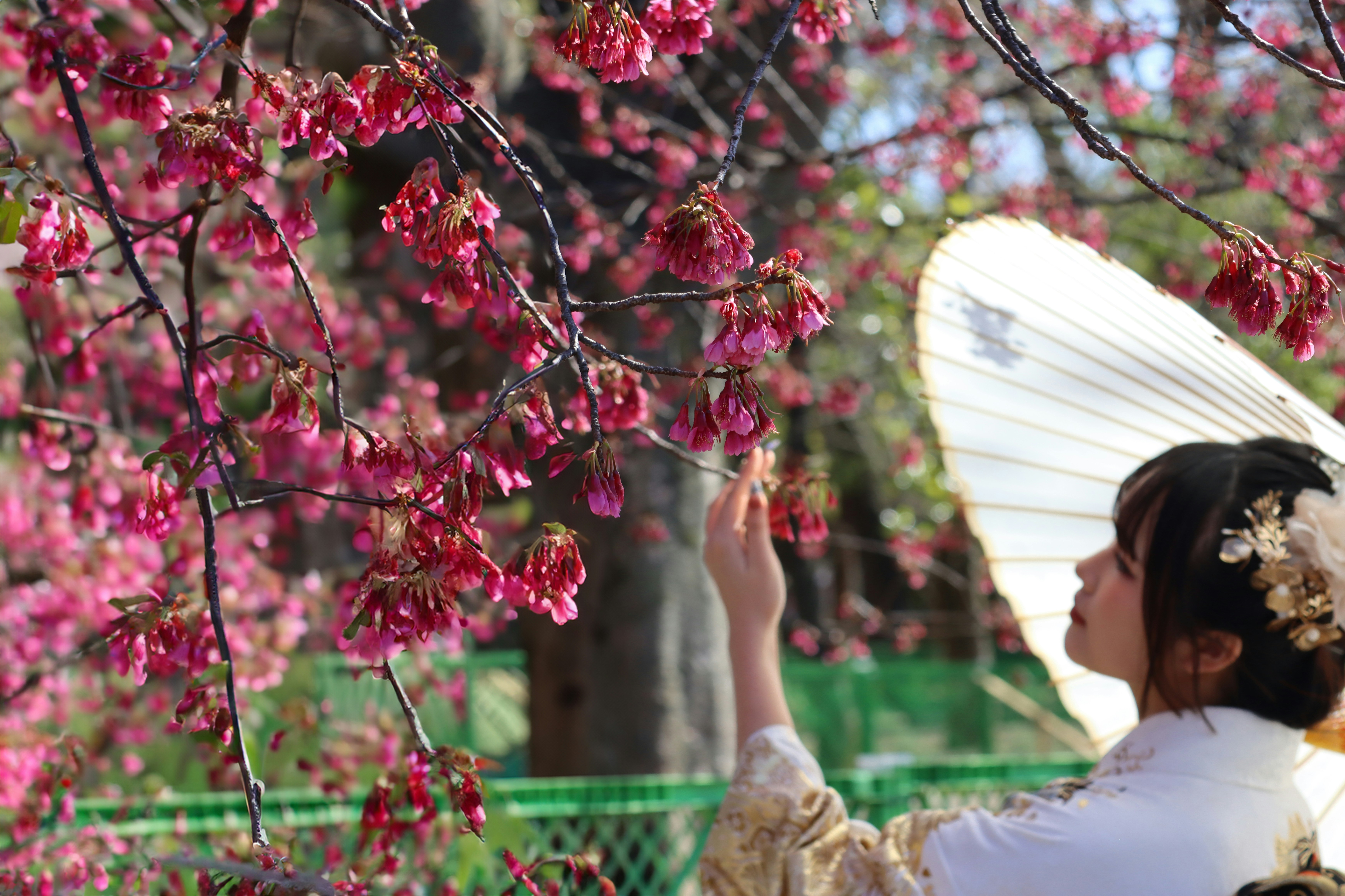 a woman in a kimono is holding an umbrella