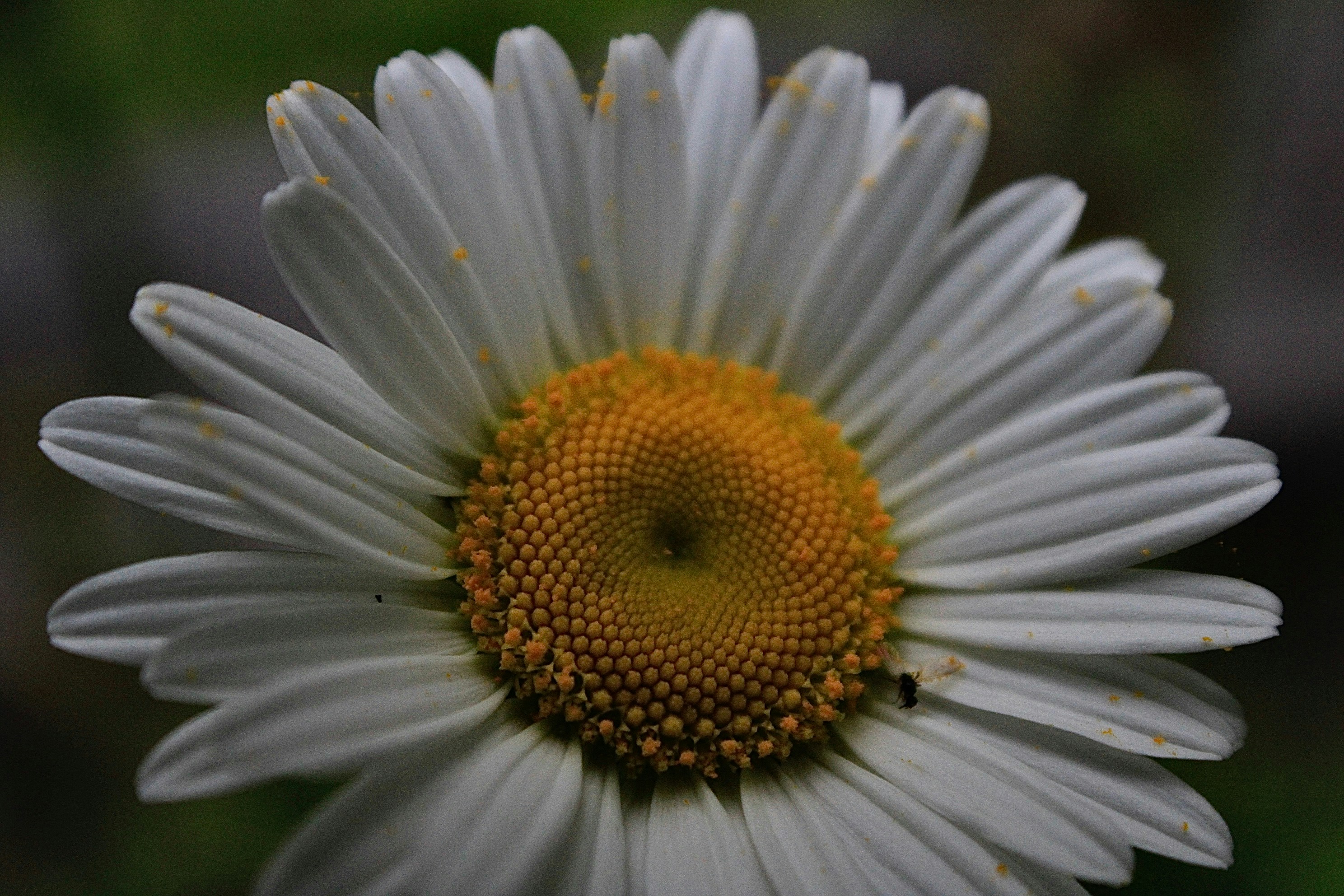 Photo by lisa_duqlaw