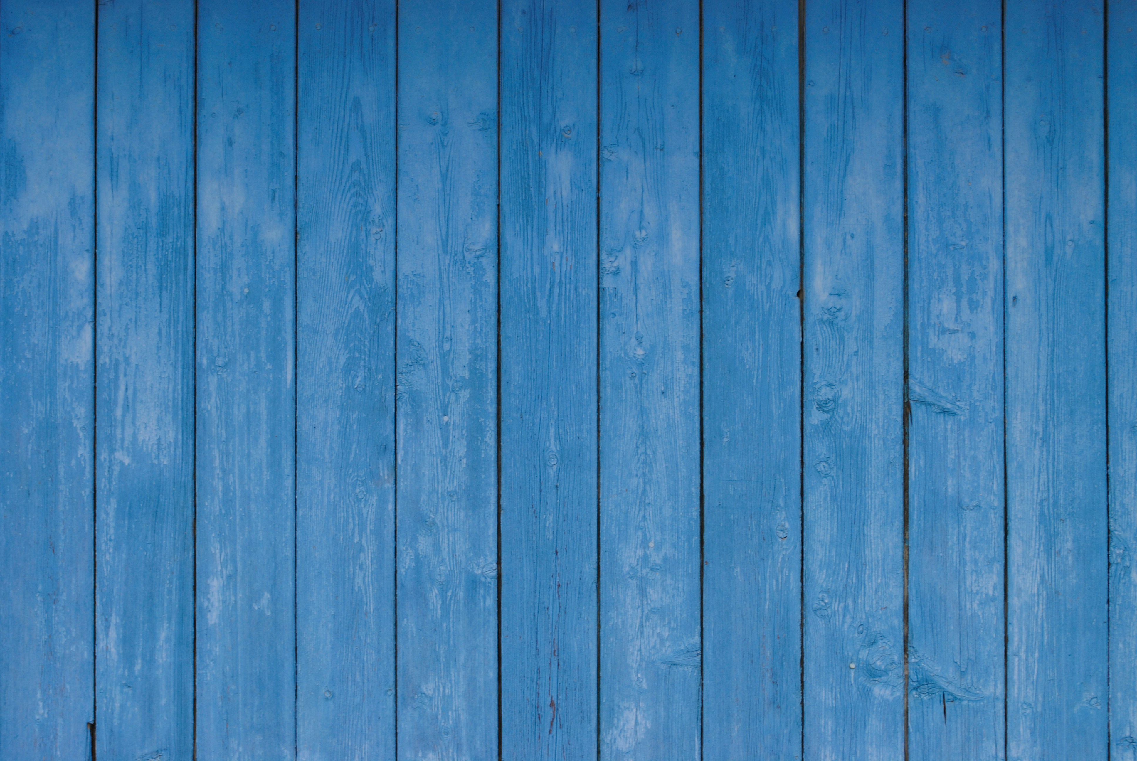 현대 그린카드와 블루카드 혜택 비교