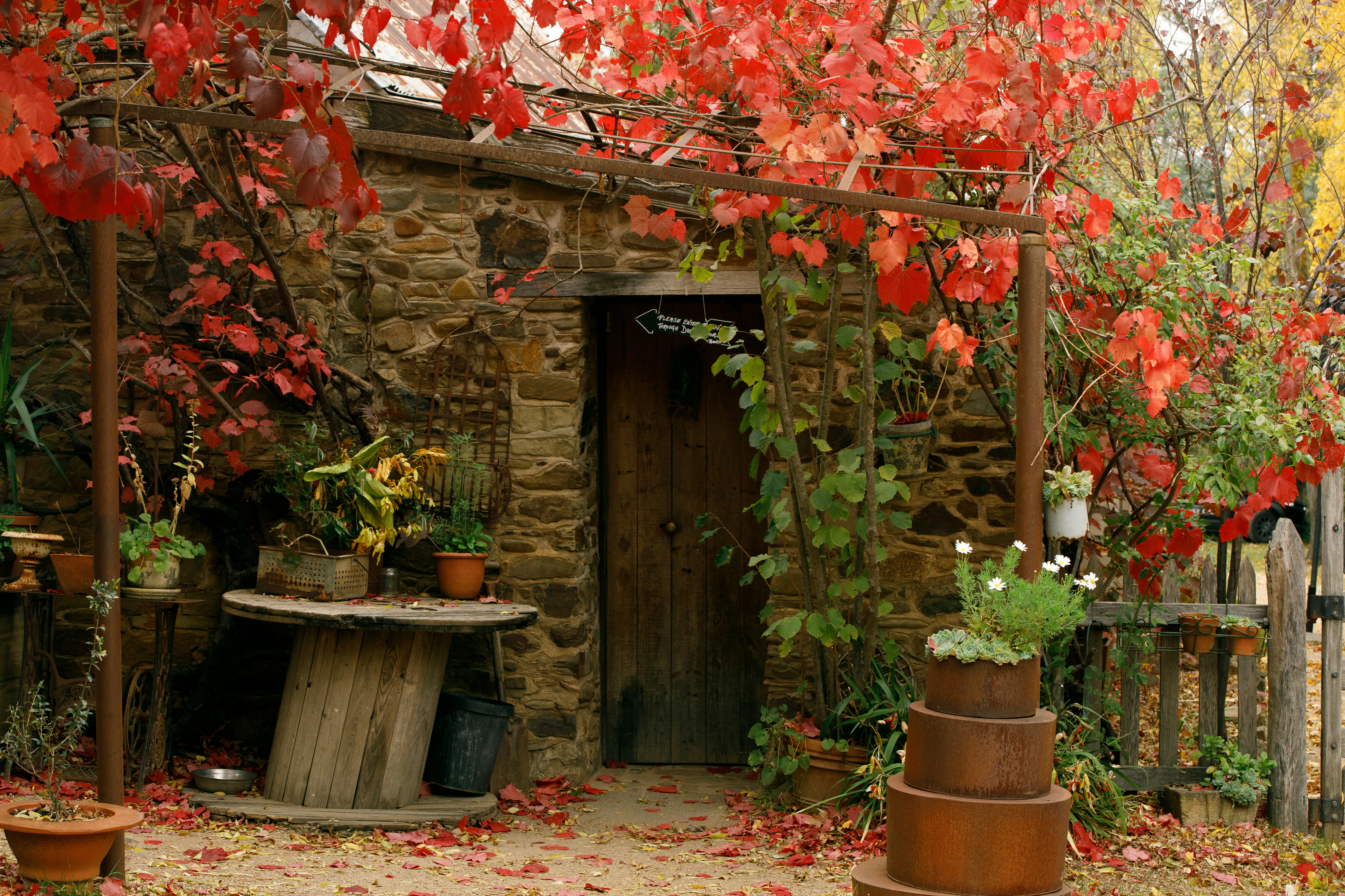 9 Budget Seasonal Decorating Ideas for a Modern Farmhouse Kitchen