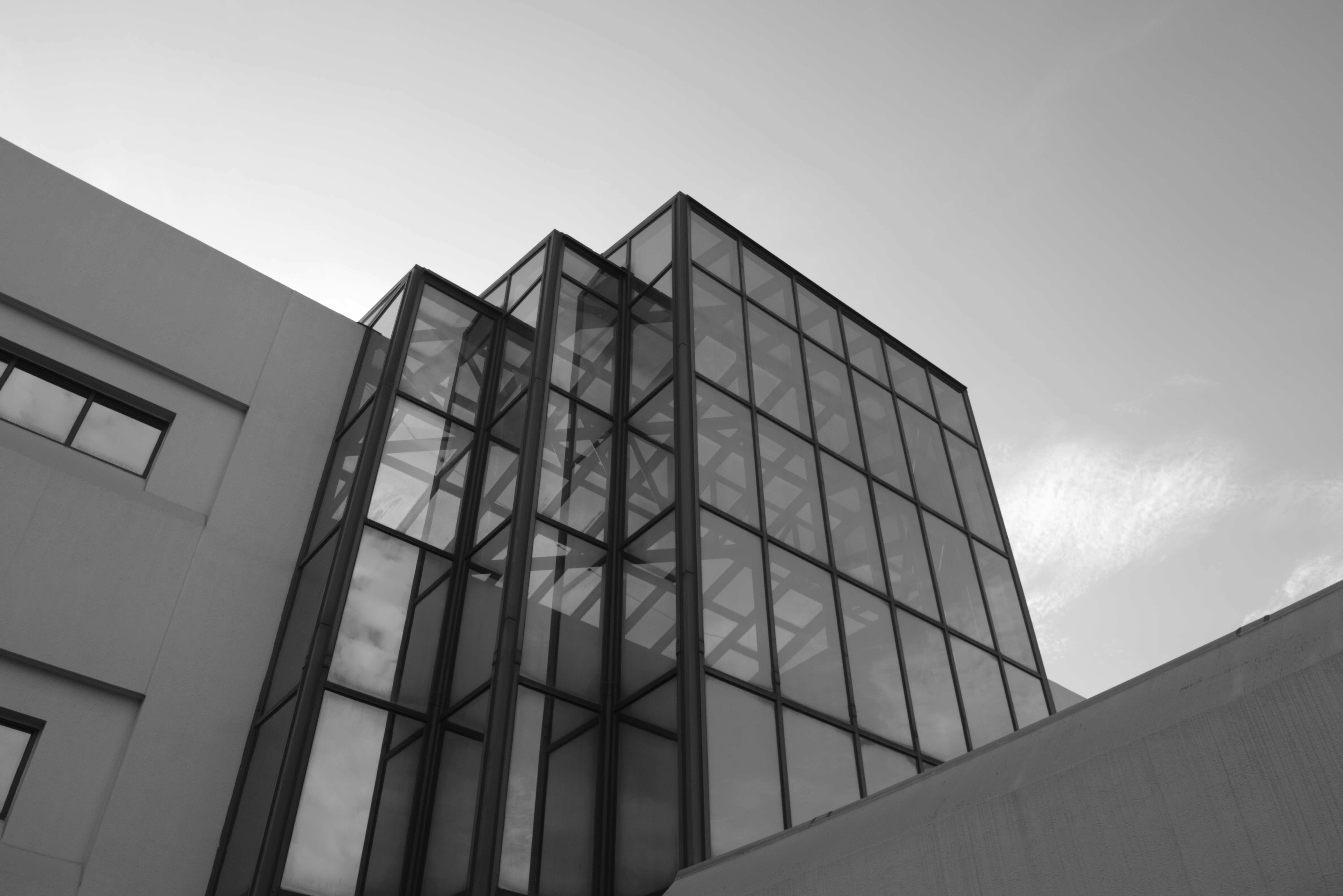 Photo by thephotochad