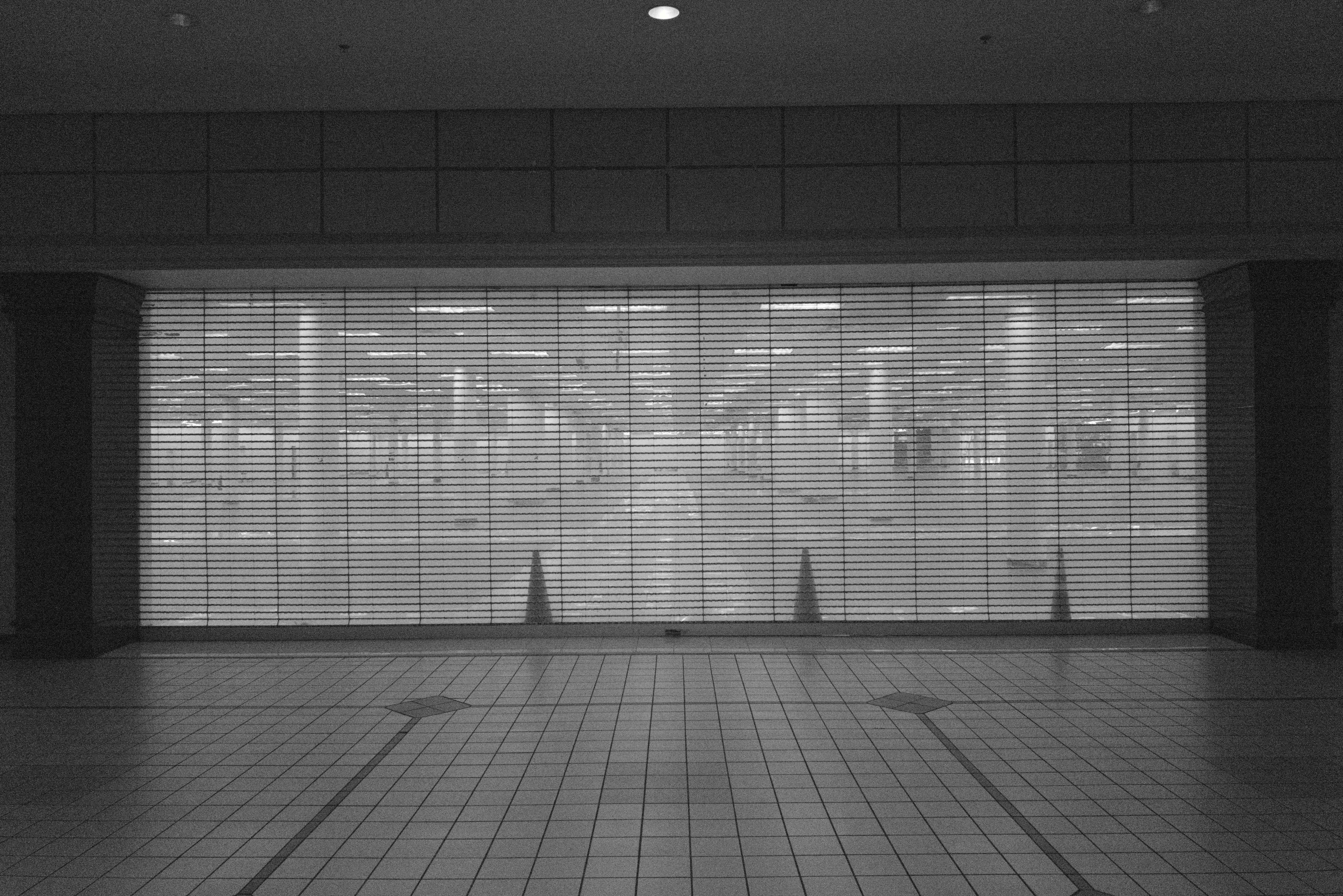 Photo by thephotochad